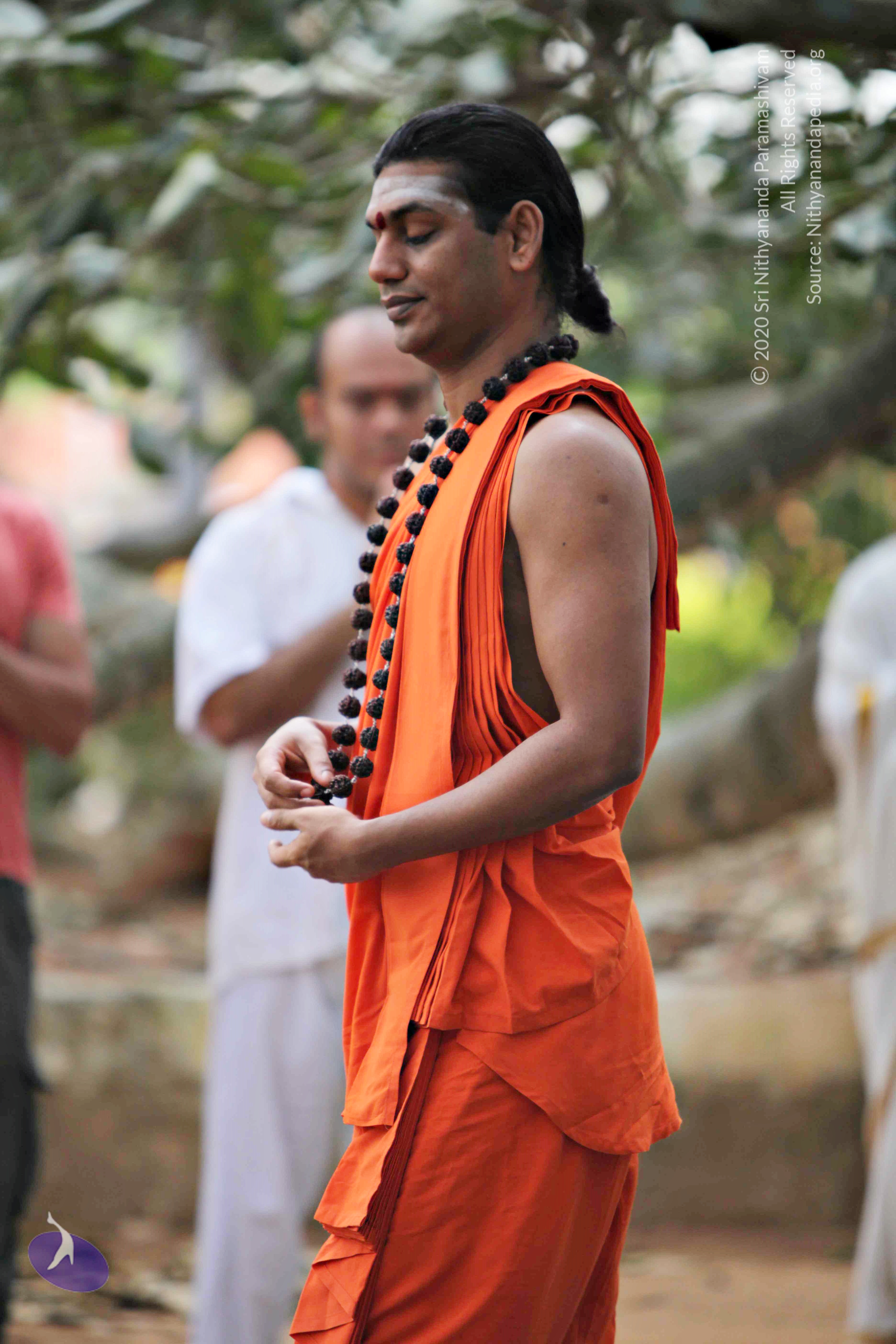 20110225_Photo_1070_IMG_0790_CMP_WM