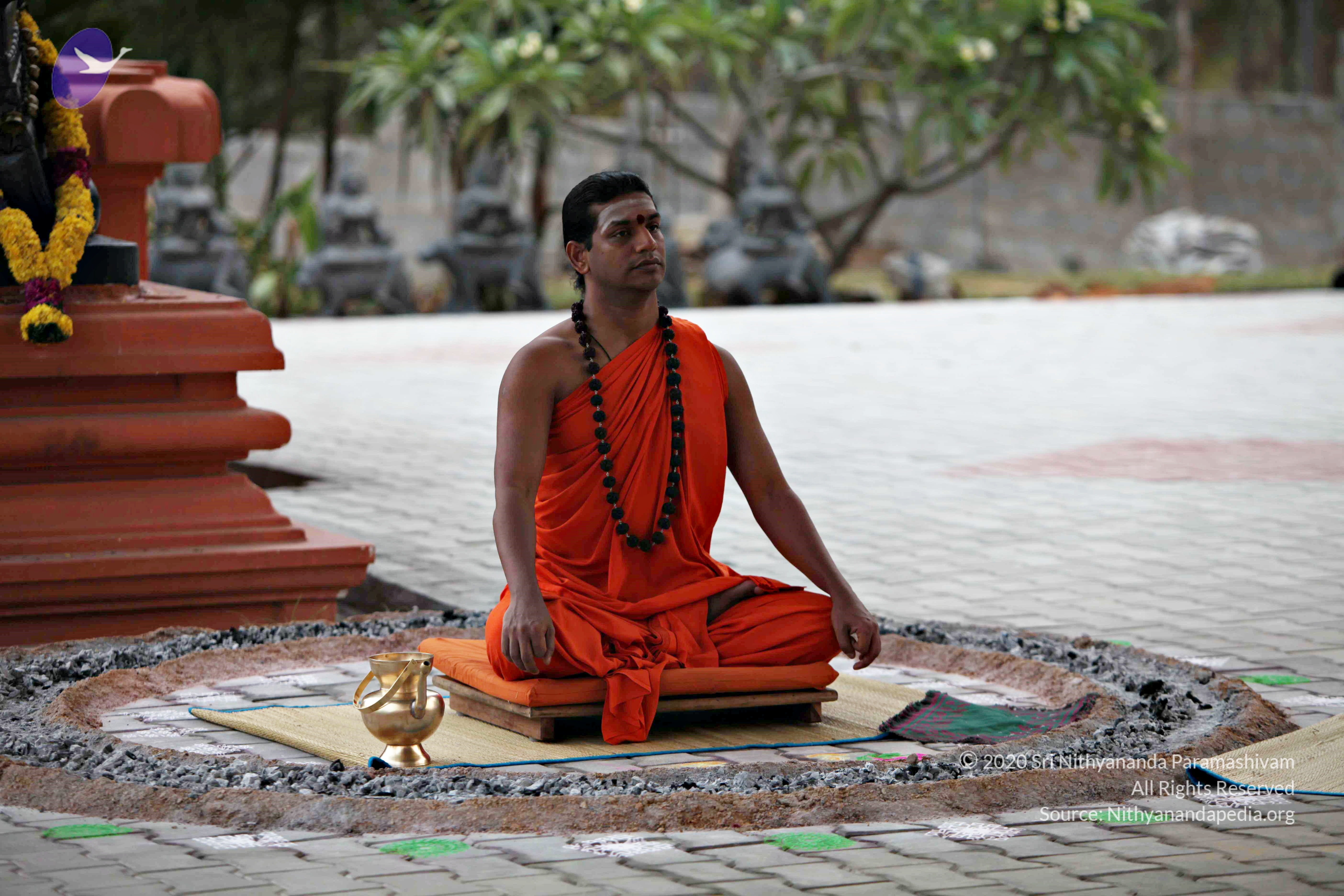 20110225_Photo_1071_IMG_0815_CMP_WM