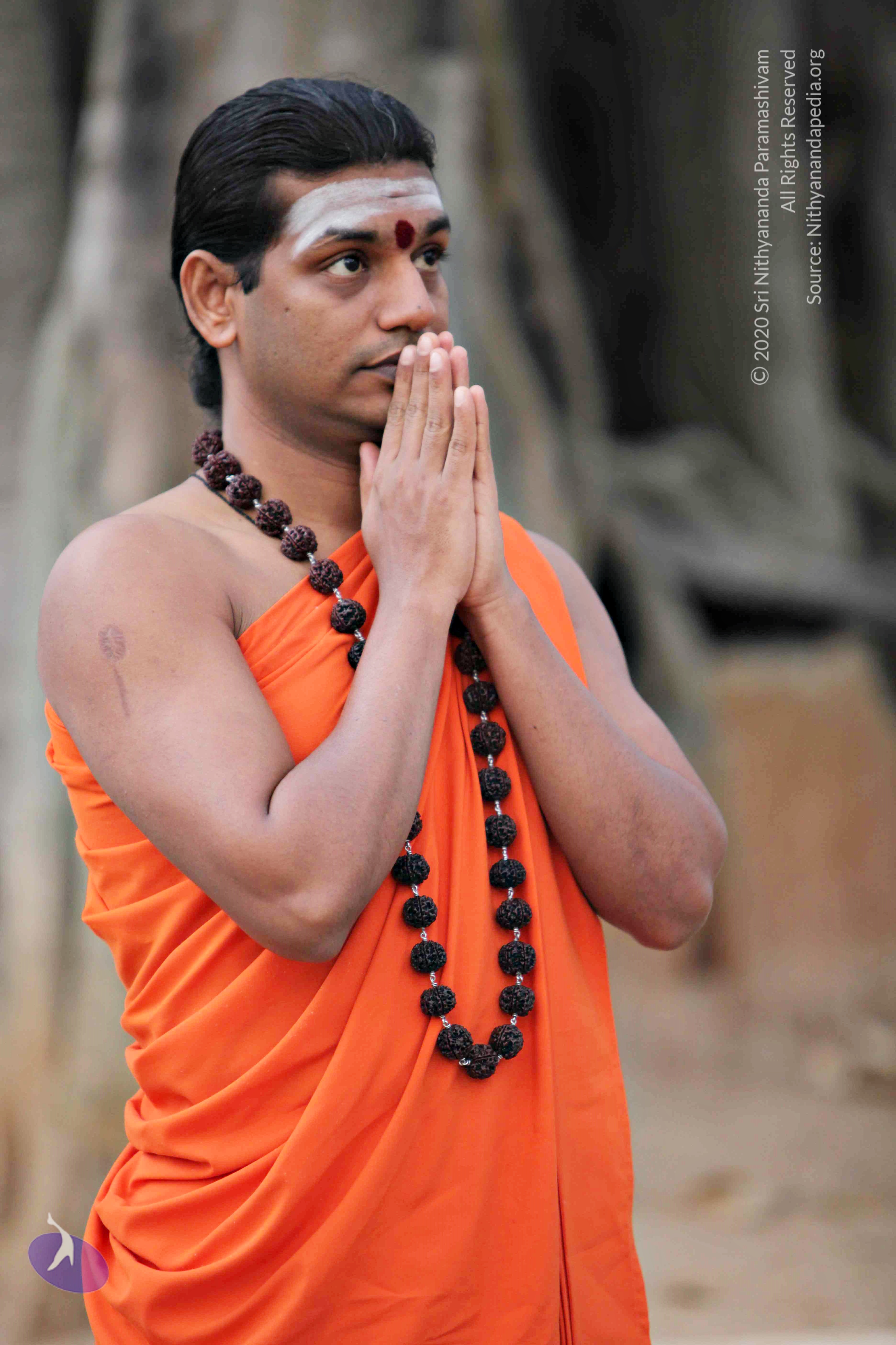 20110225_Photo_1073_IMG_0758_CMP_WM