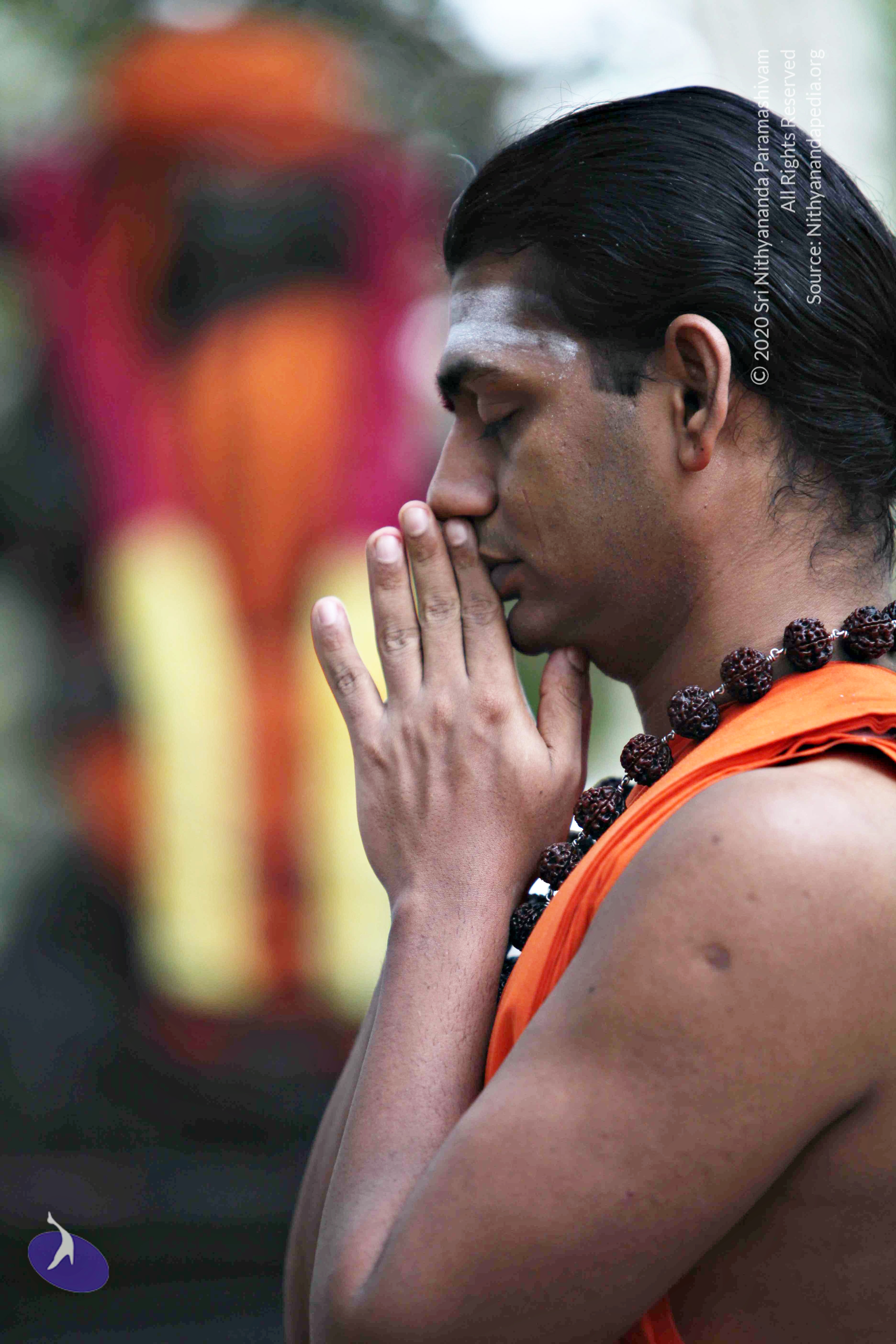 20110225_Photo_1075_IMG_0773_CMP_WM