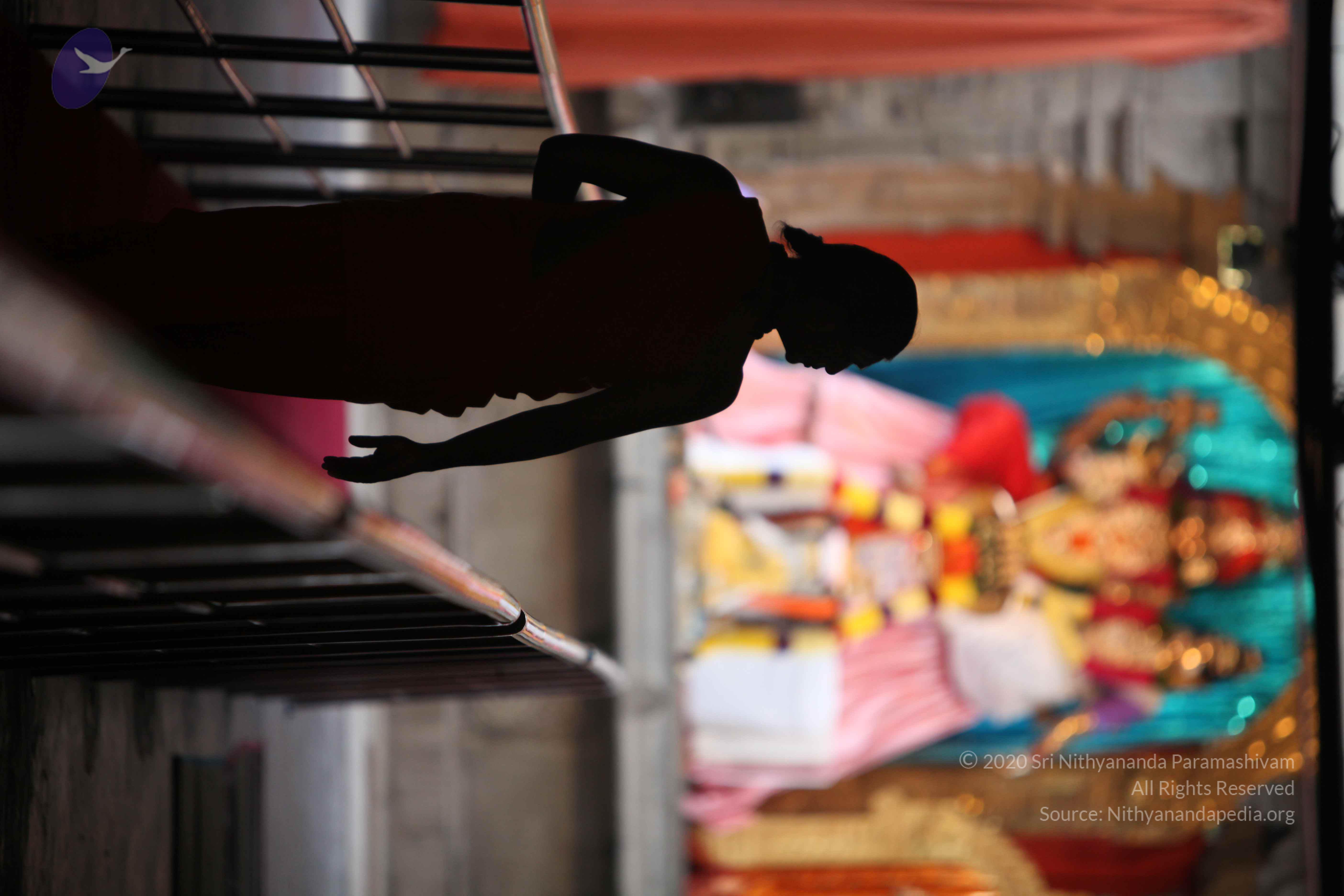 20110225_Photo_1076_IMG_0744_CMP_WM