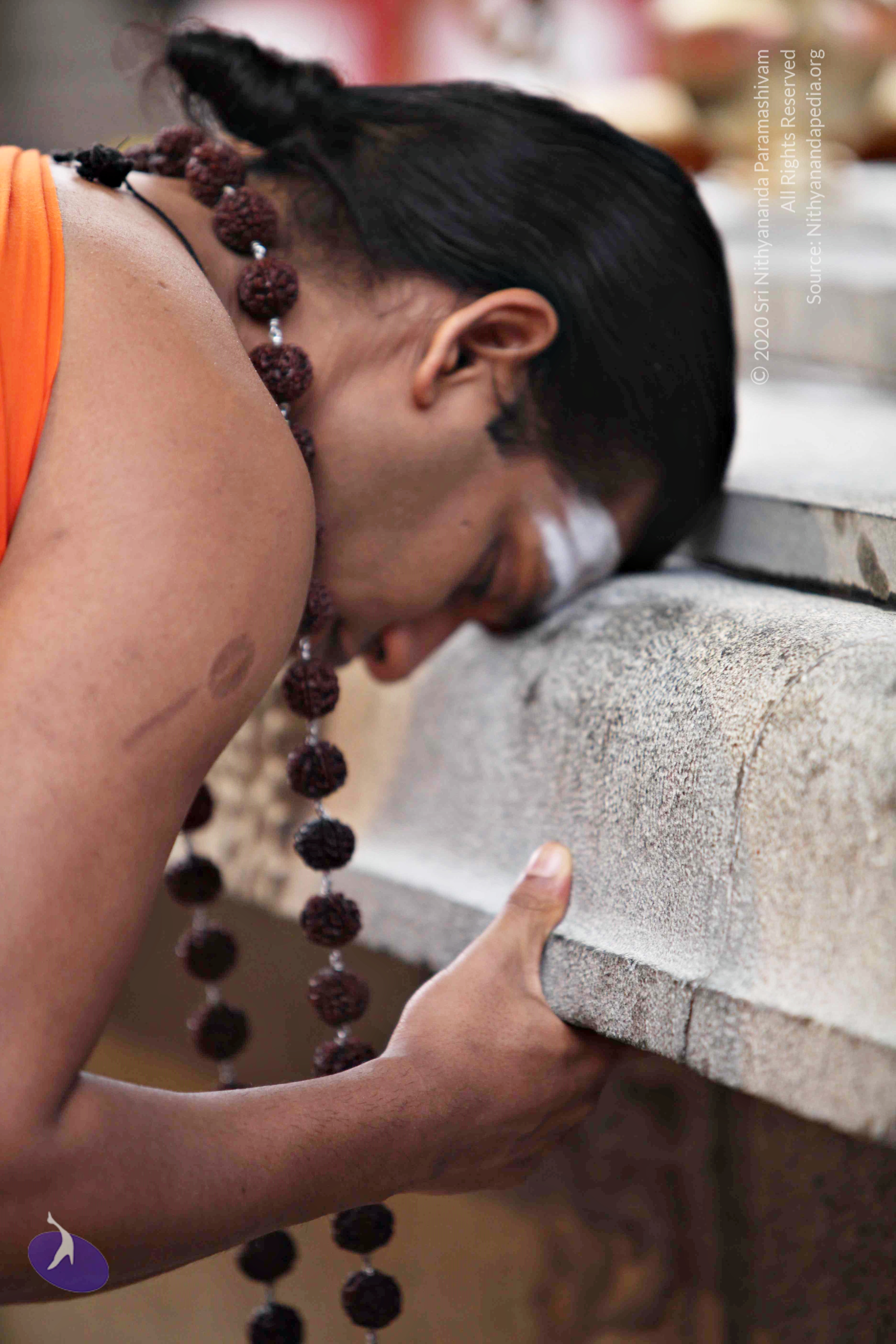 20110225_Photo_1077_IMG_0795_CMP_WM