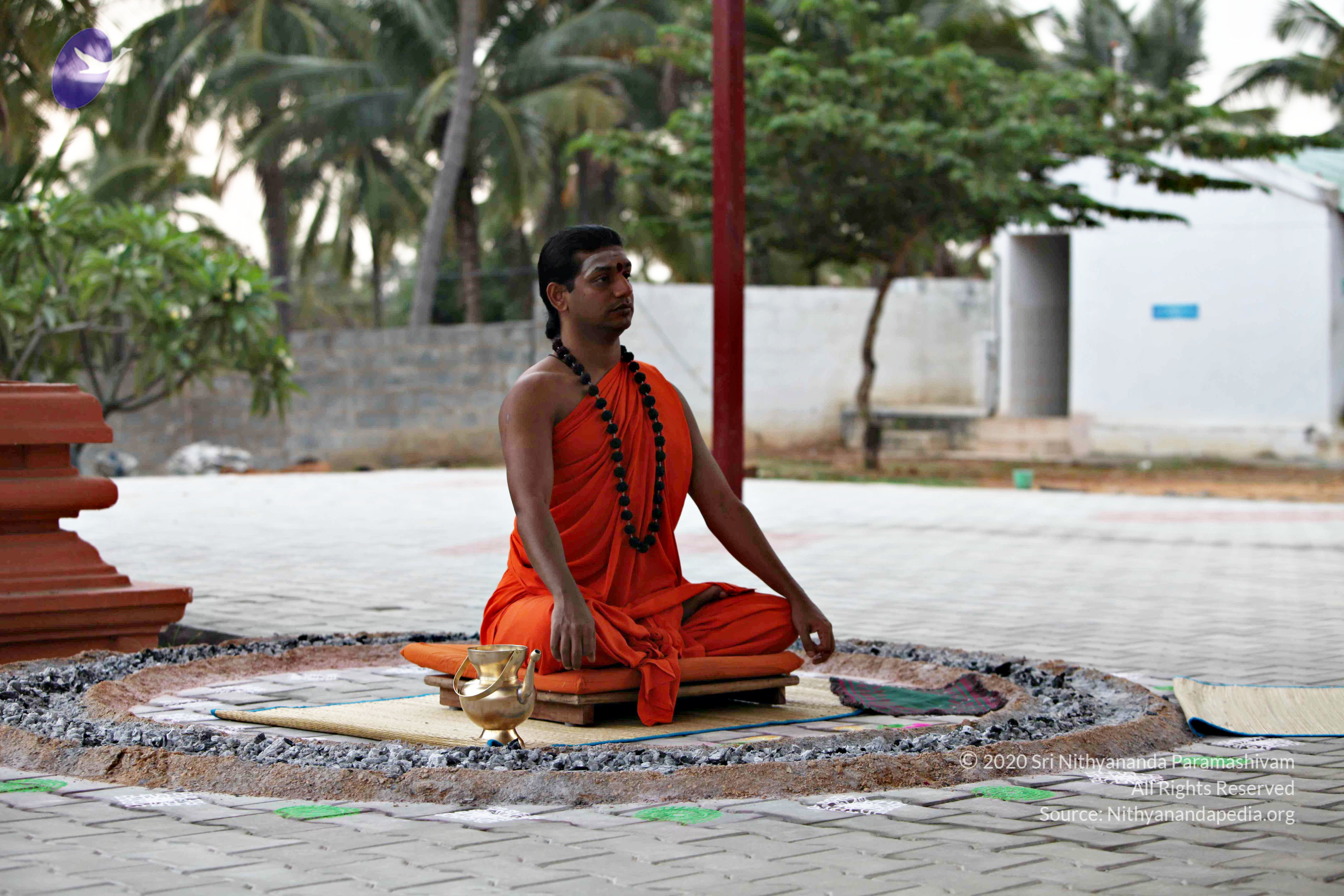 20110225_Photo_1079_IMG_0827_CMP_WM