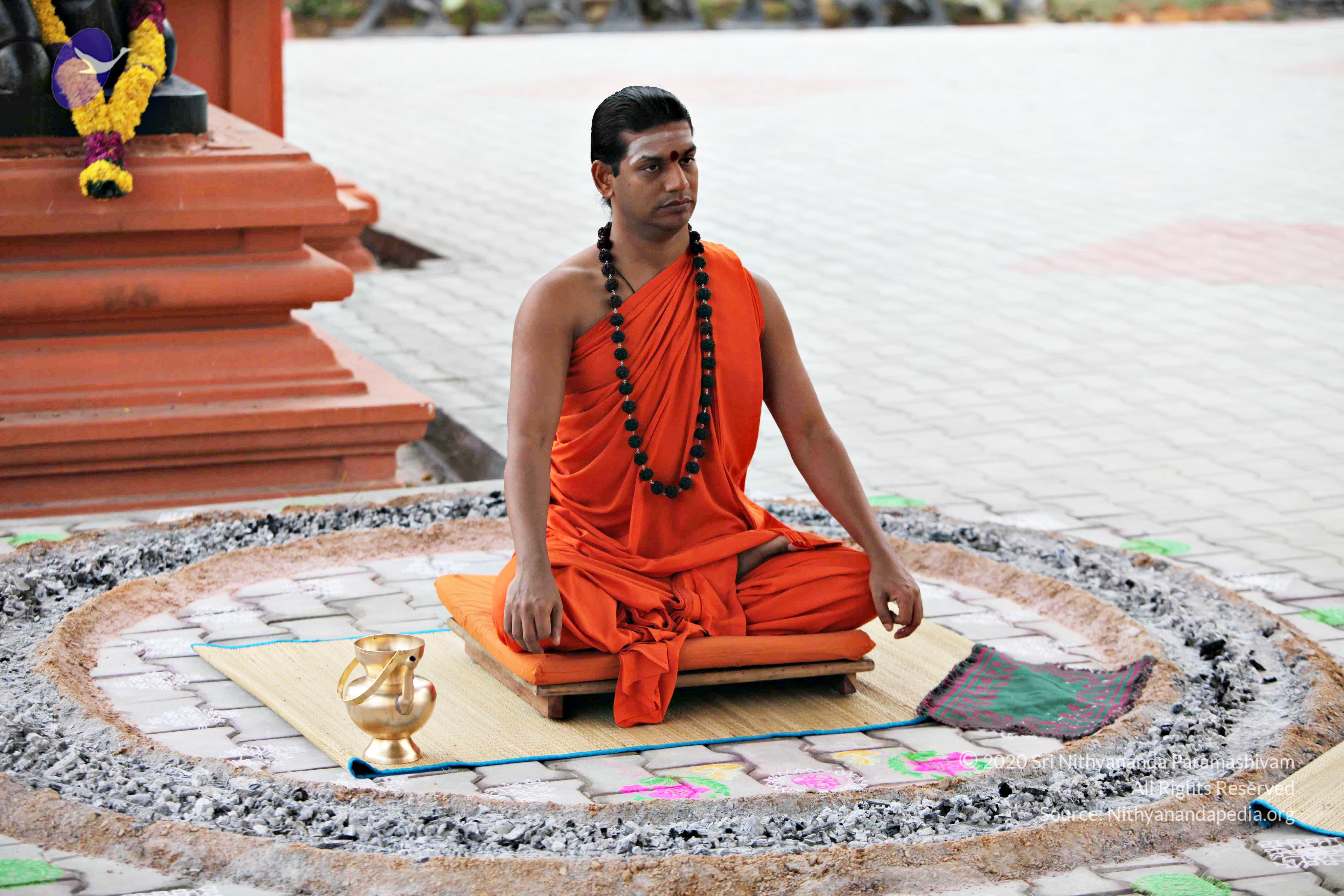 20110225_Photo_1080_IMG_0810_CMP_WM