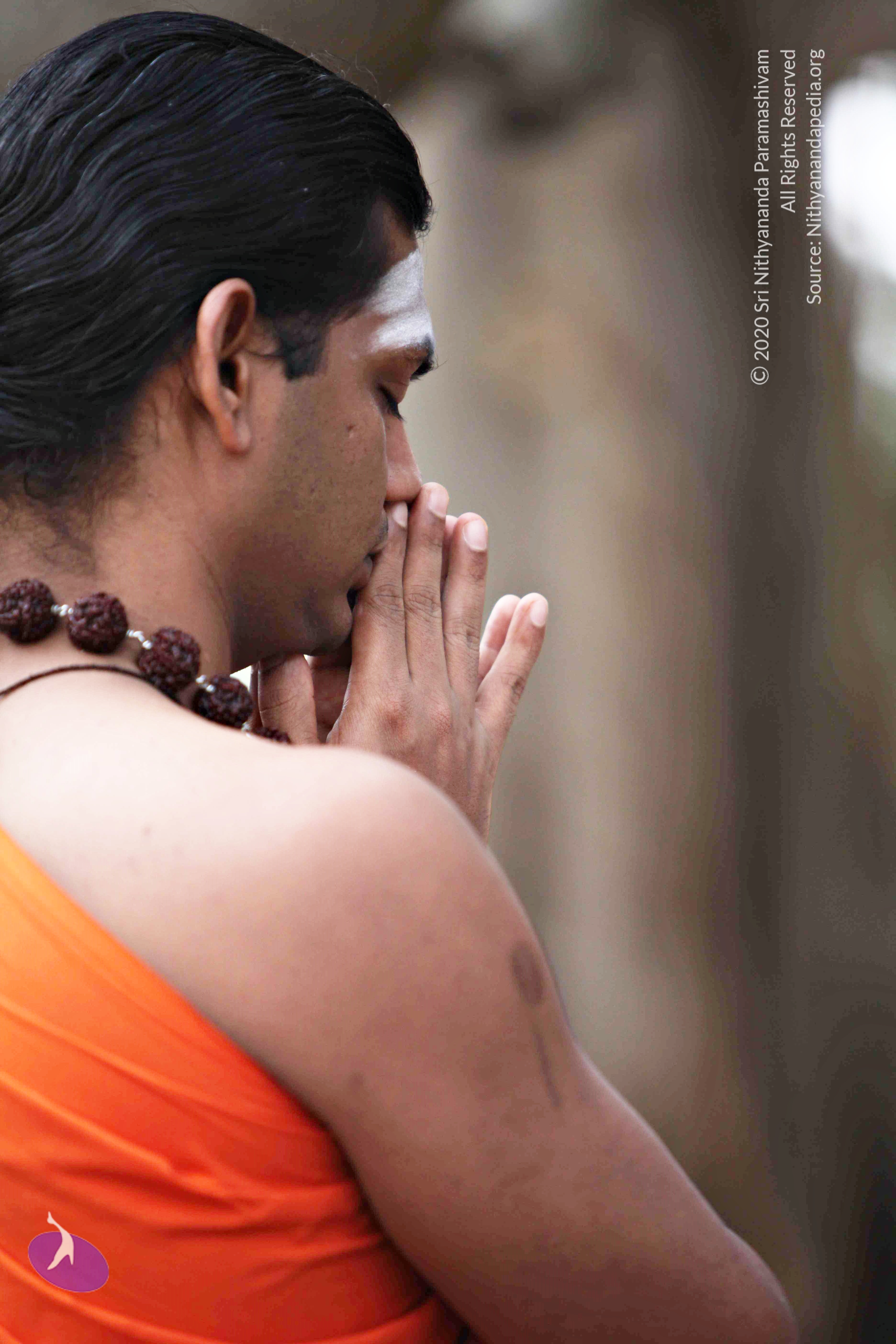 20110225_Photo_1082_IMG_0776_CMP_WM