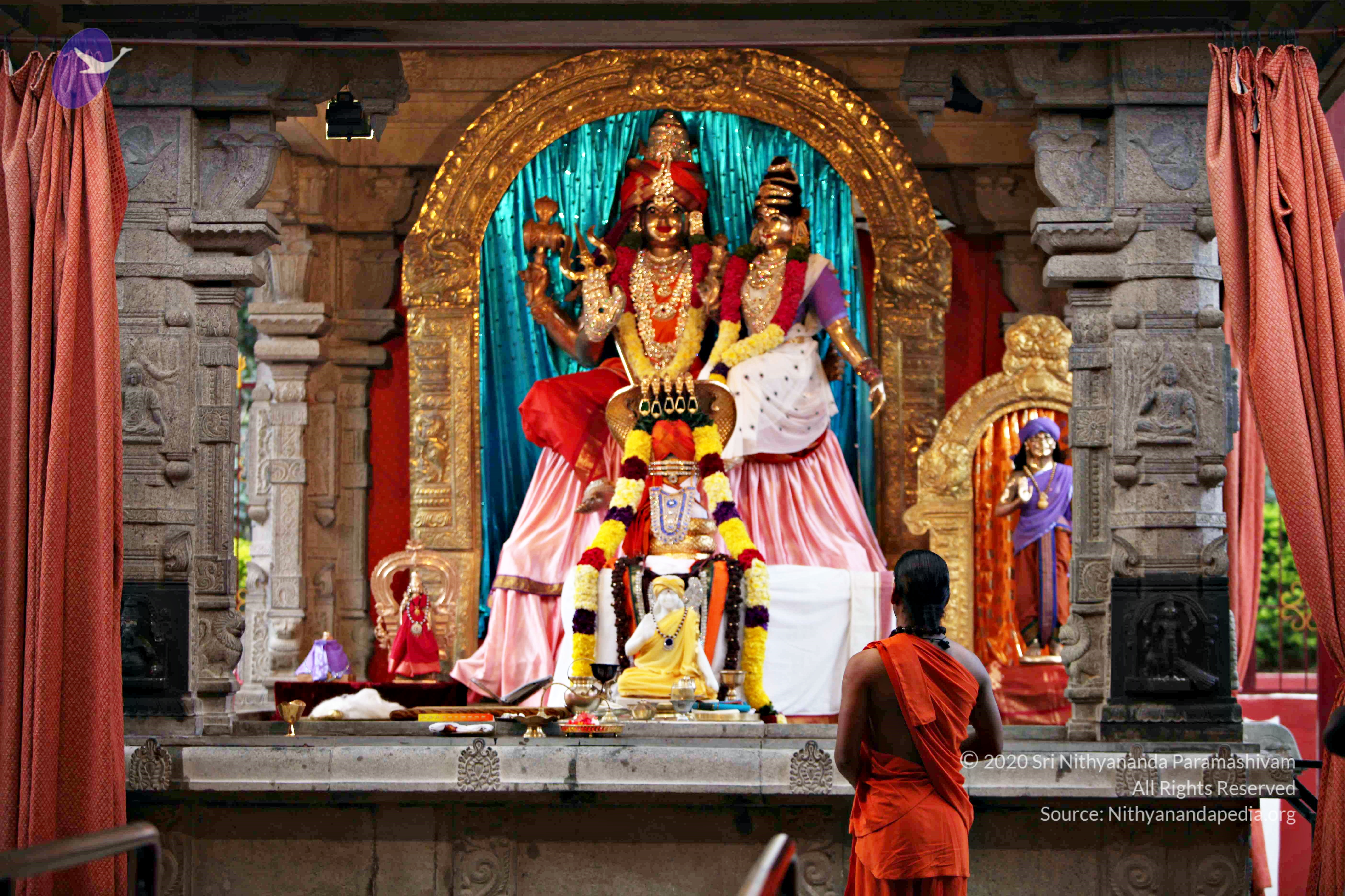 20110225_Photo_1084_IMG_0798_CMP_WM