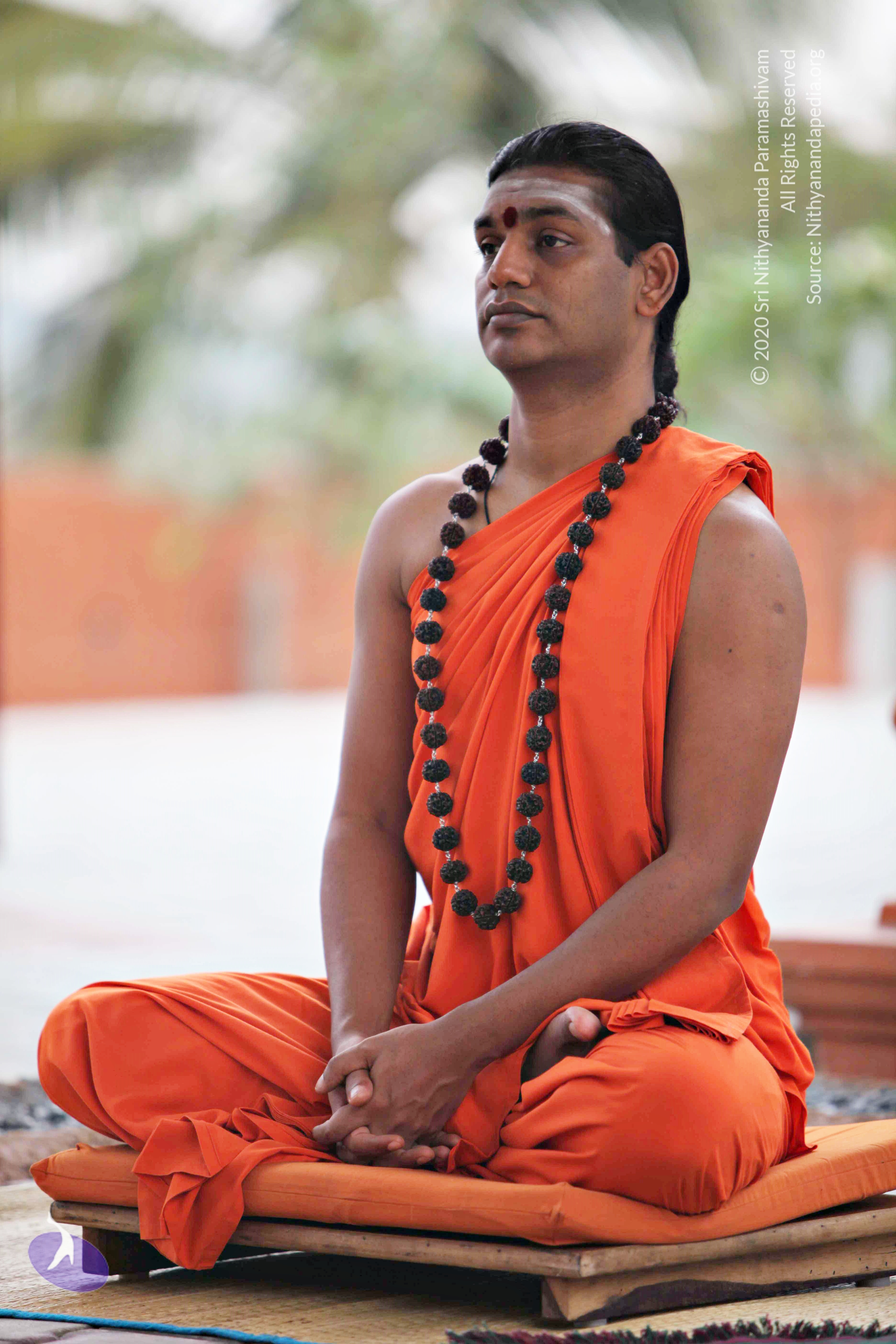 20110225_Photo_1085_IMG_0848_CMP_WM