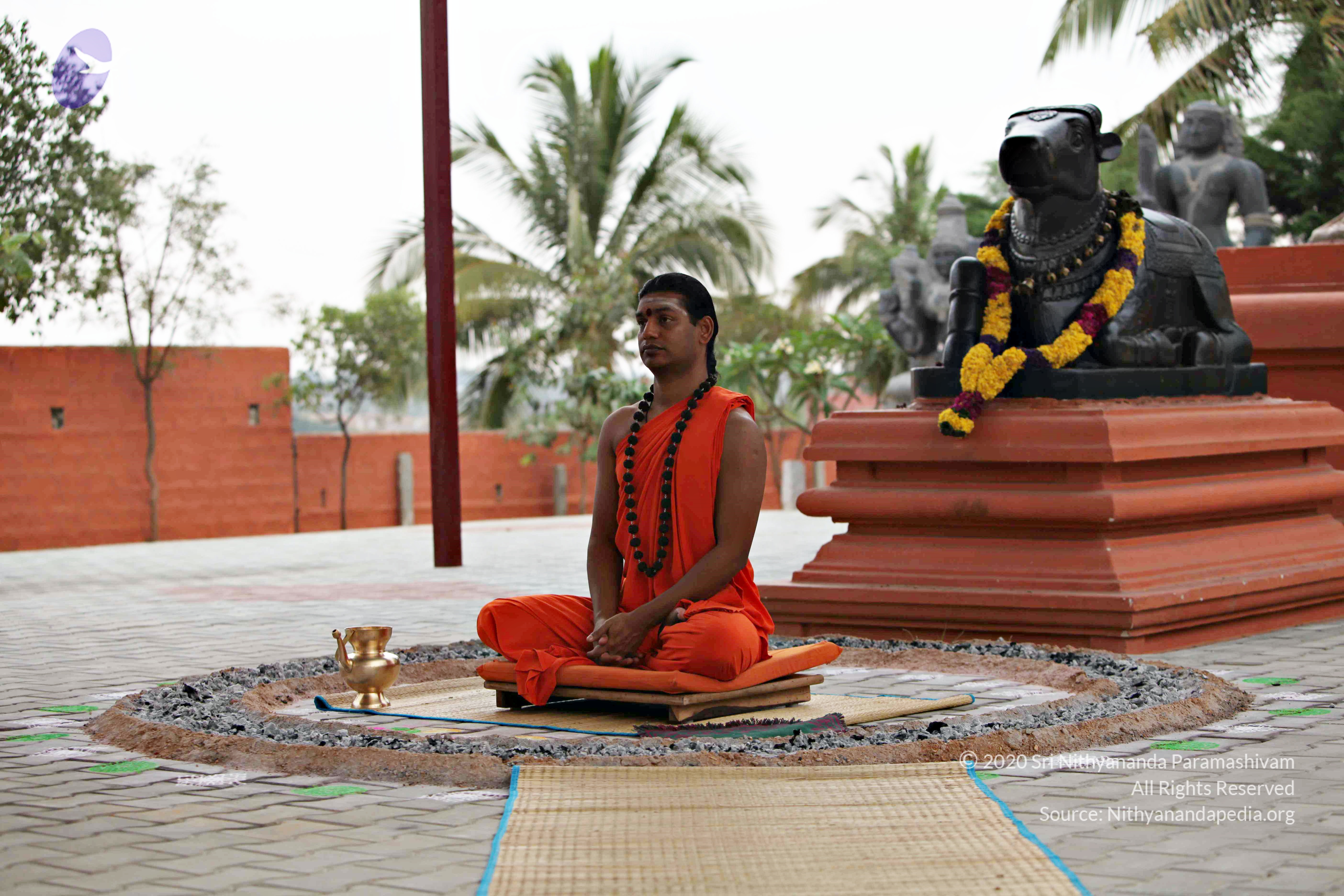 20110225_Photo_1090_IMG_0854_CMP_WM