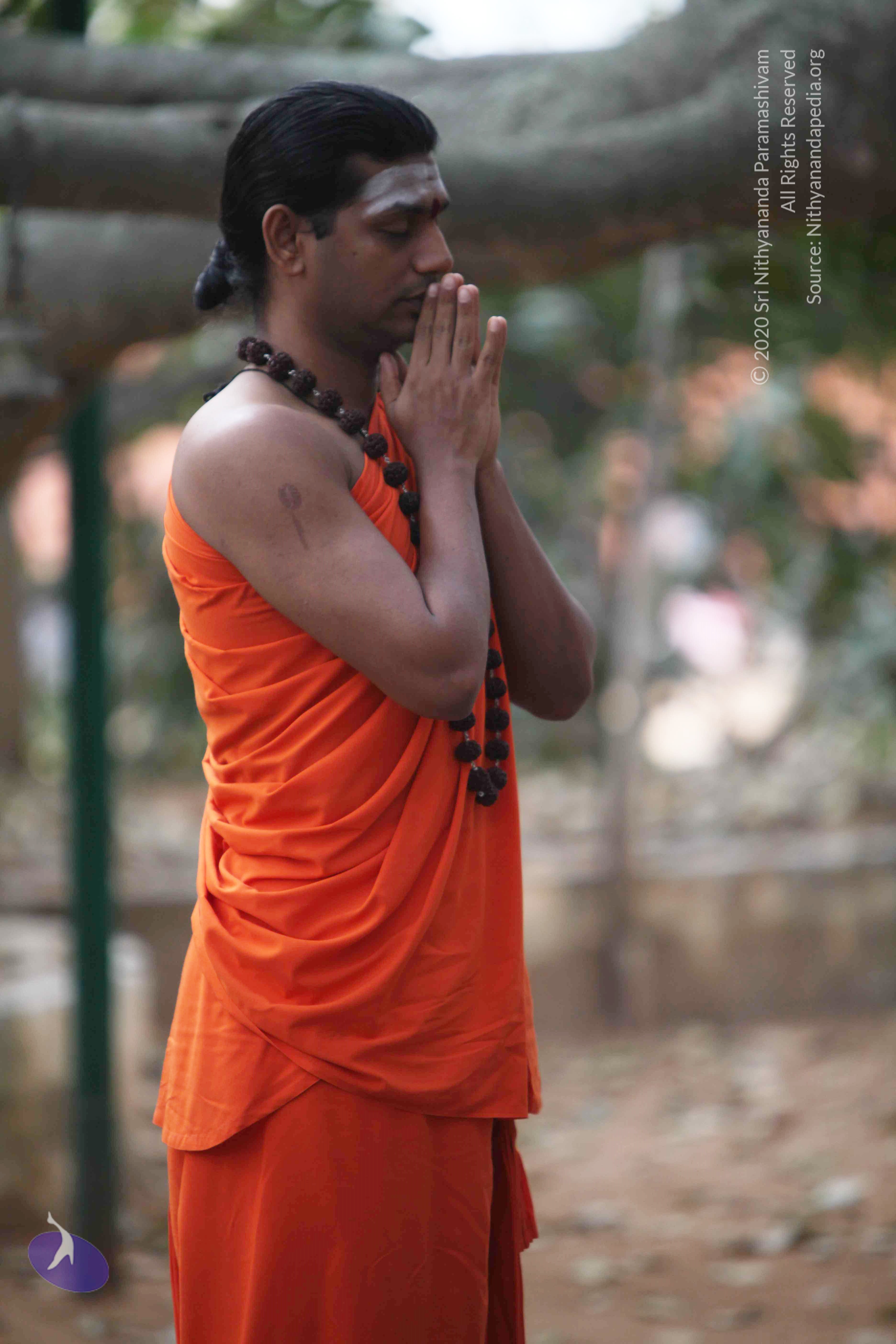 20110225_Photo_1091_IMG_0784_CMP_WM