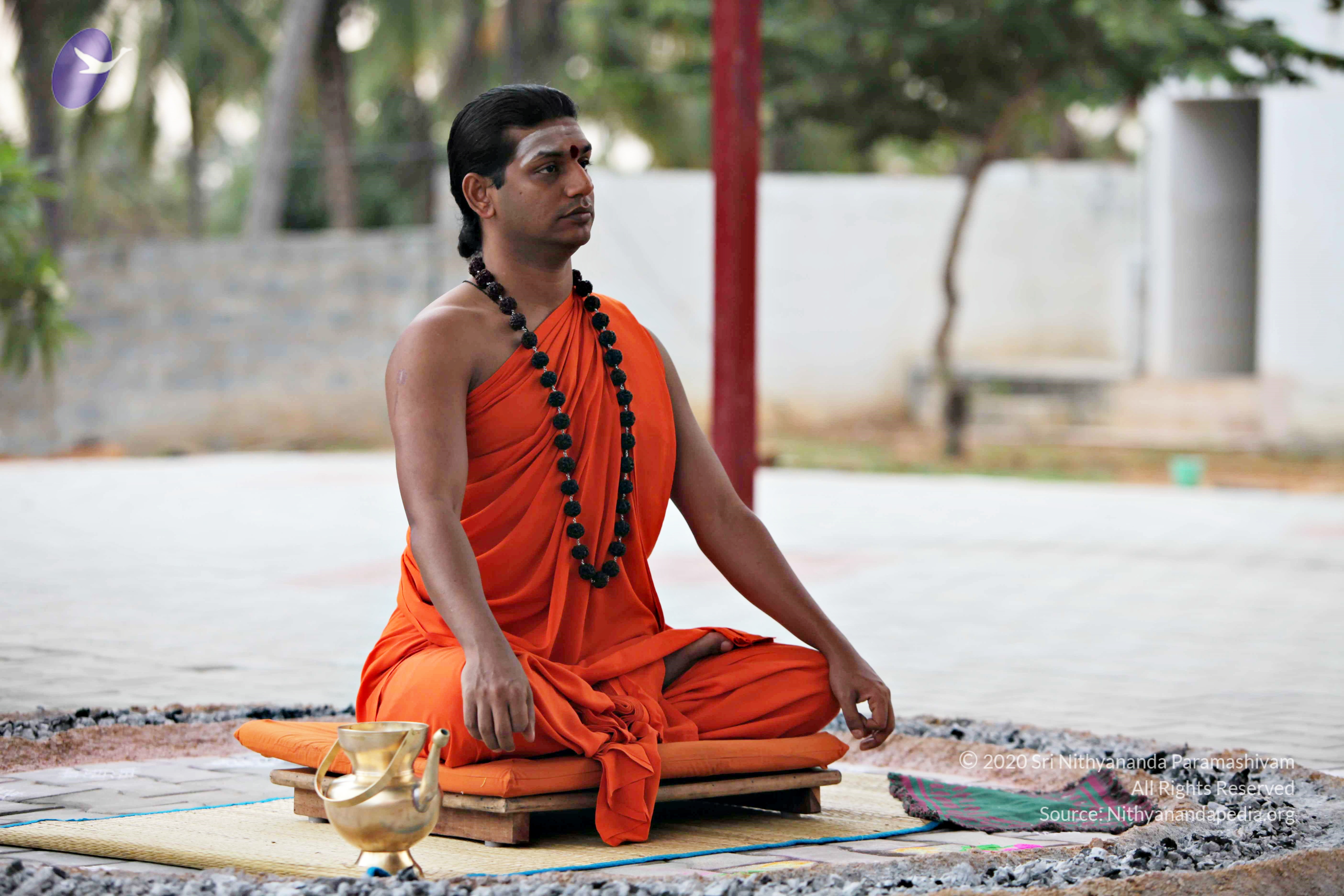 20110225_Photo_1094_IMG_0831_CMP_WM