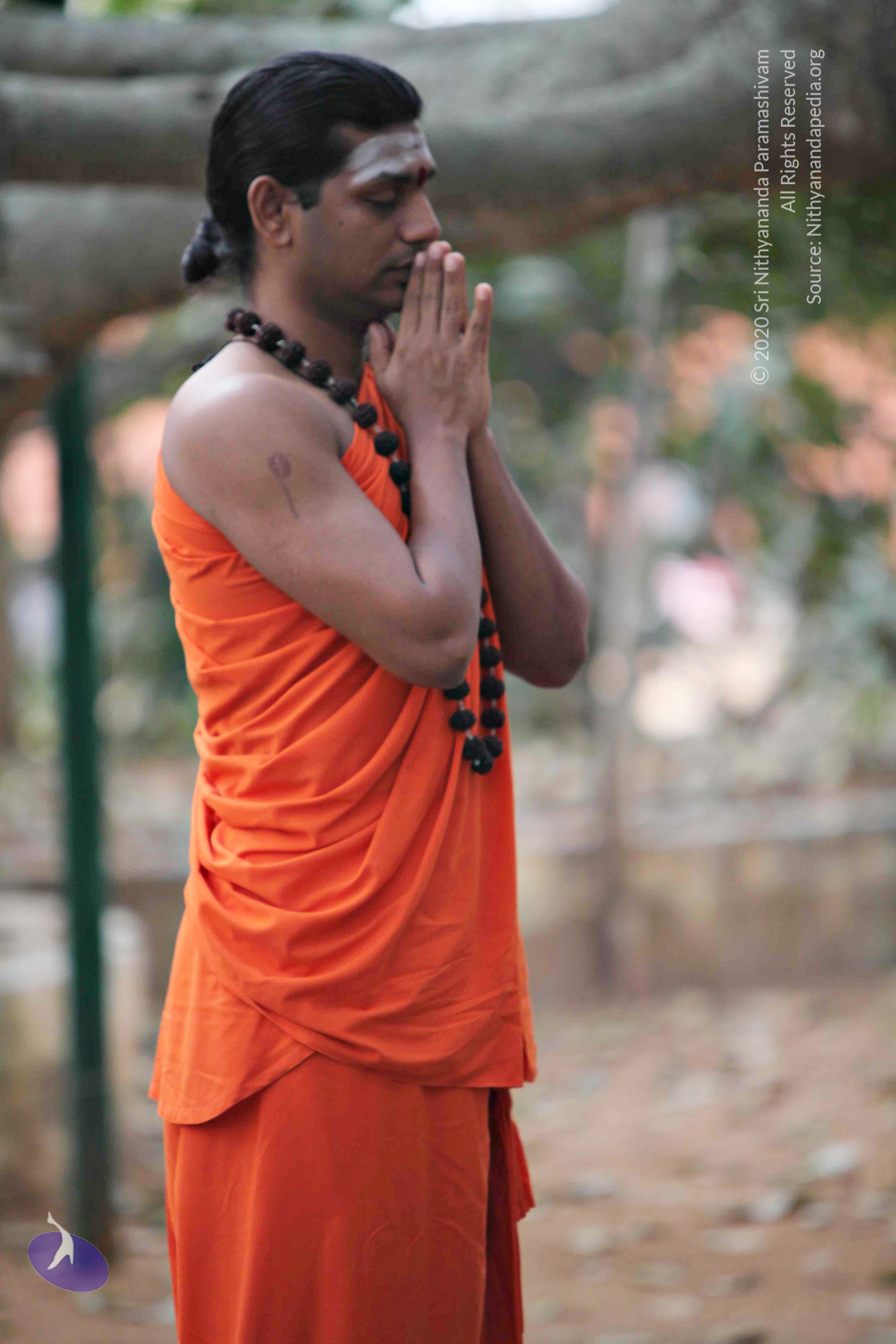 20110225_Photo_1095_IMG_0783_CMP_WM