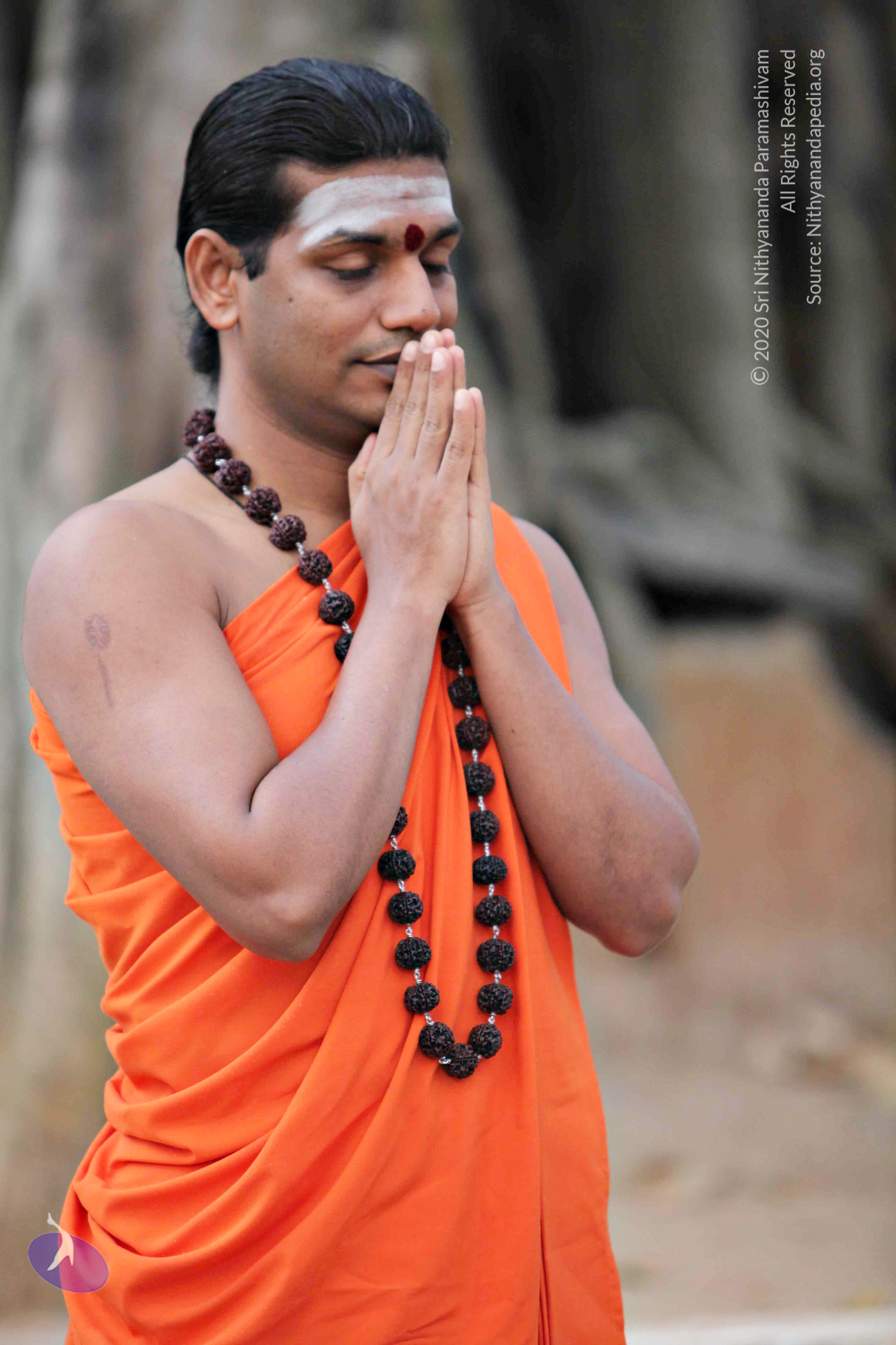 20110225_Photo_1097_IMG_0760_CMP_WM