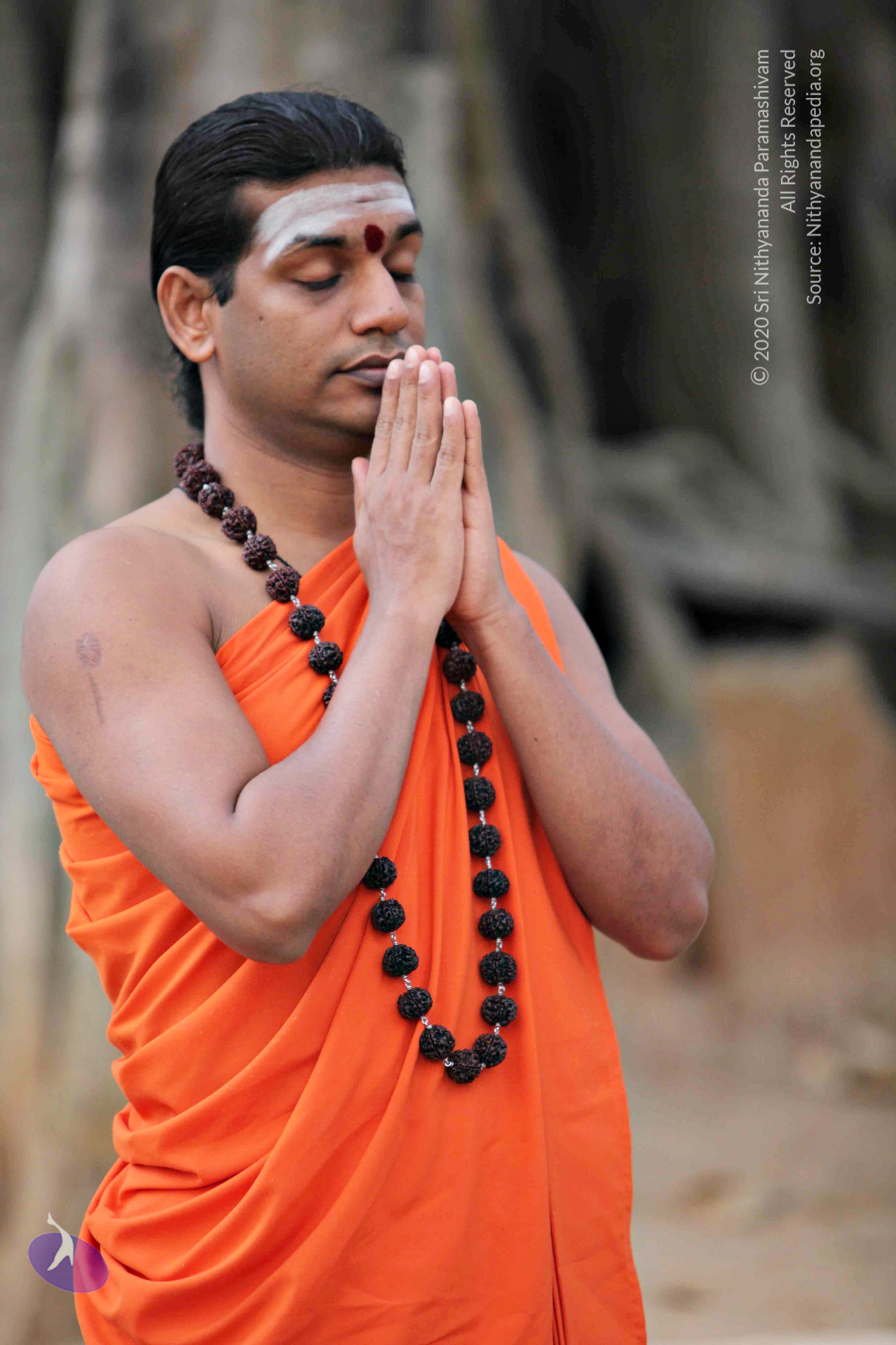 20110225_Photo_1098_IMG_0757_CMP_WM