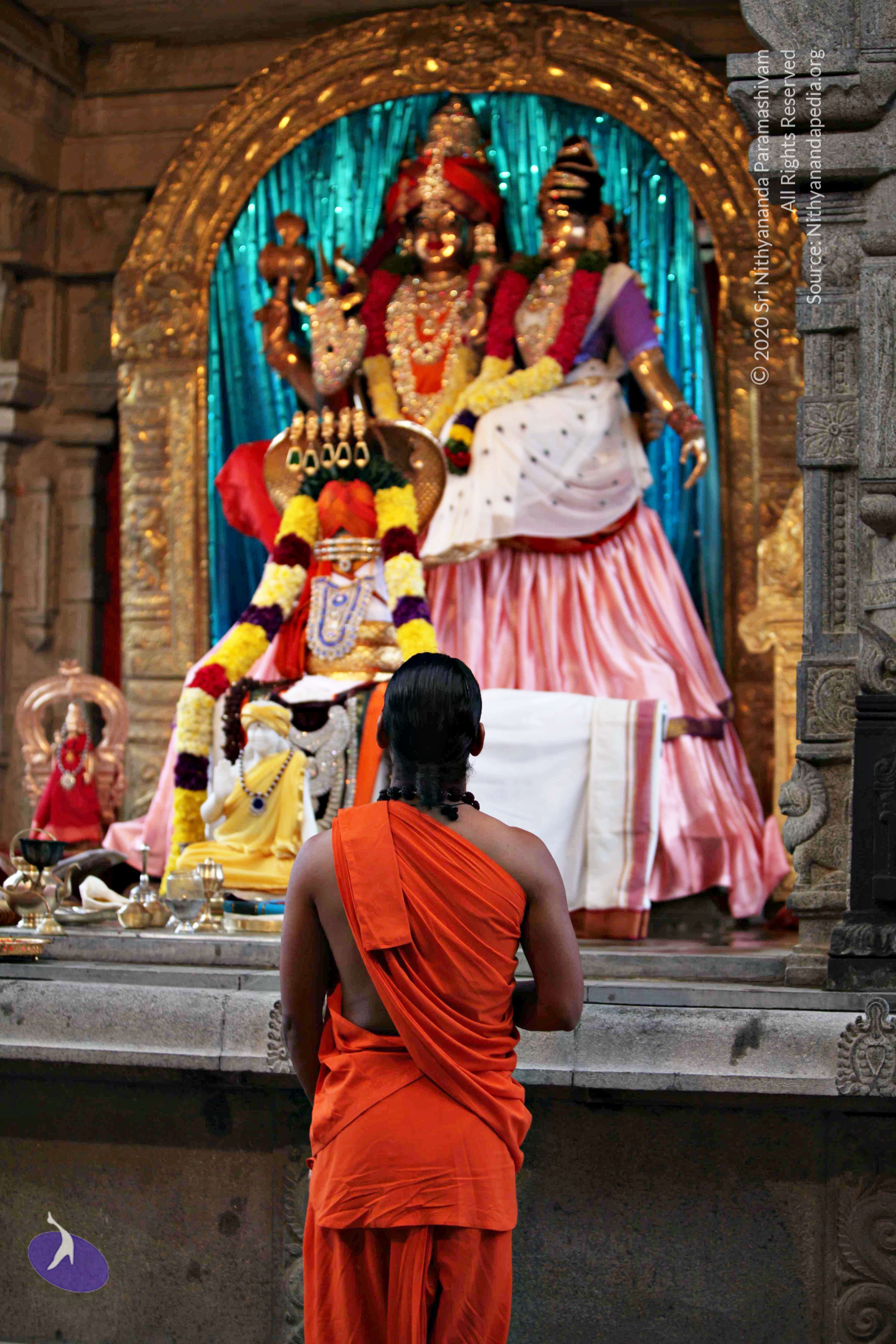 20110225_Photo_1100_IMG_0746_CMP_WM