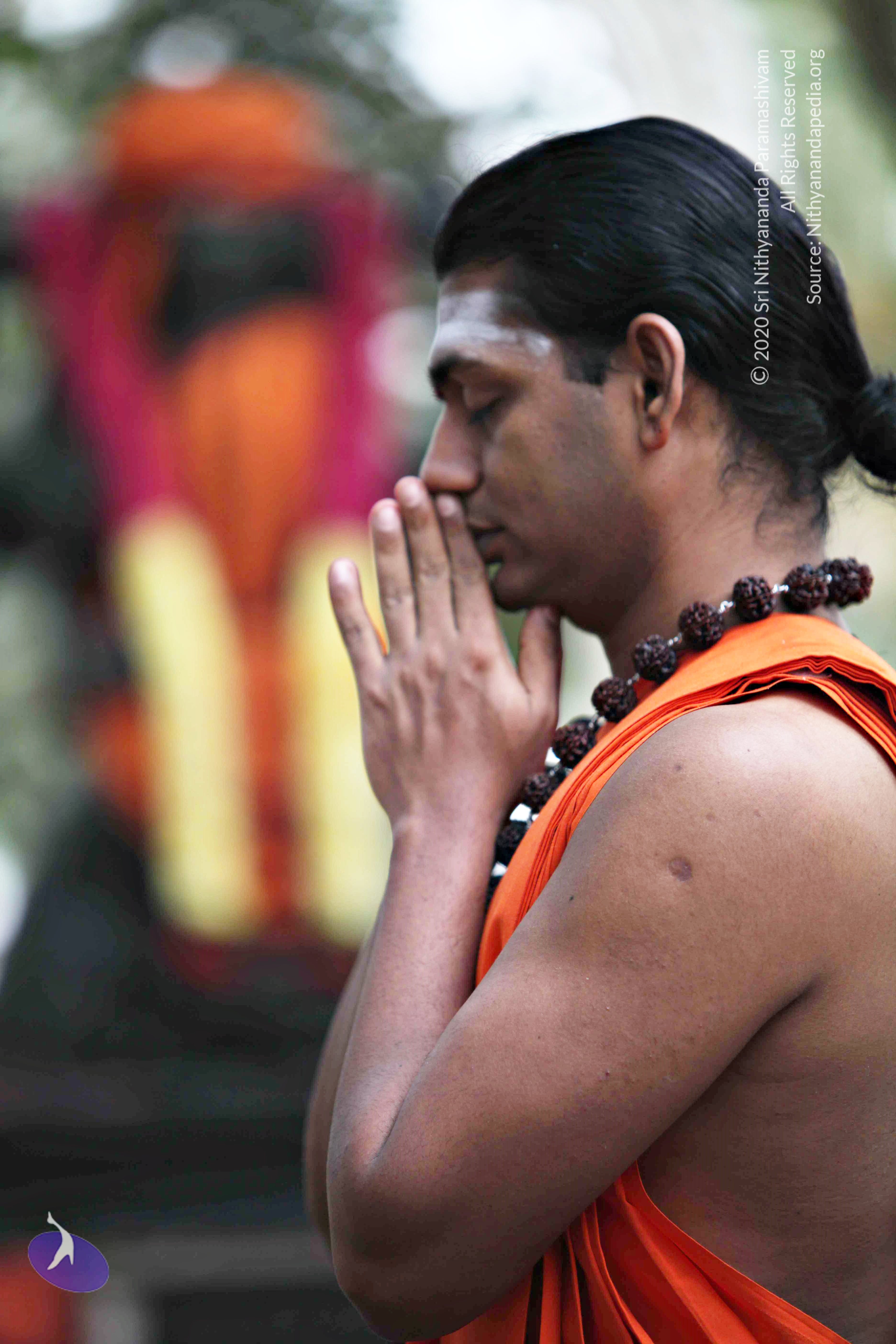 20110225_Photo_1101_IMG_0771_CMP_WM