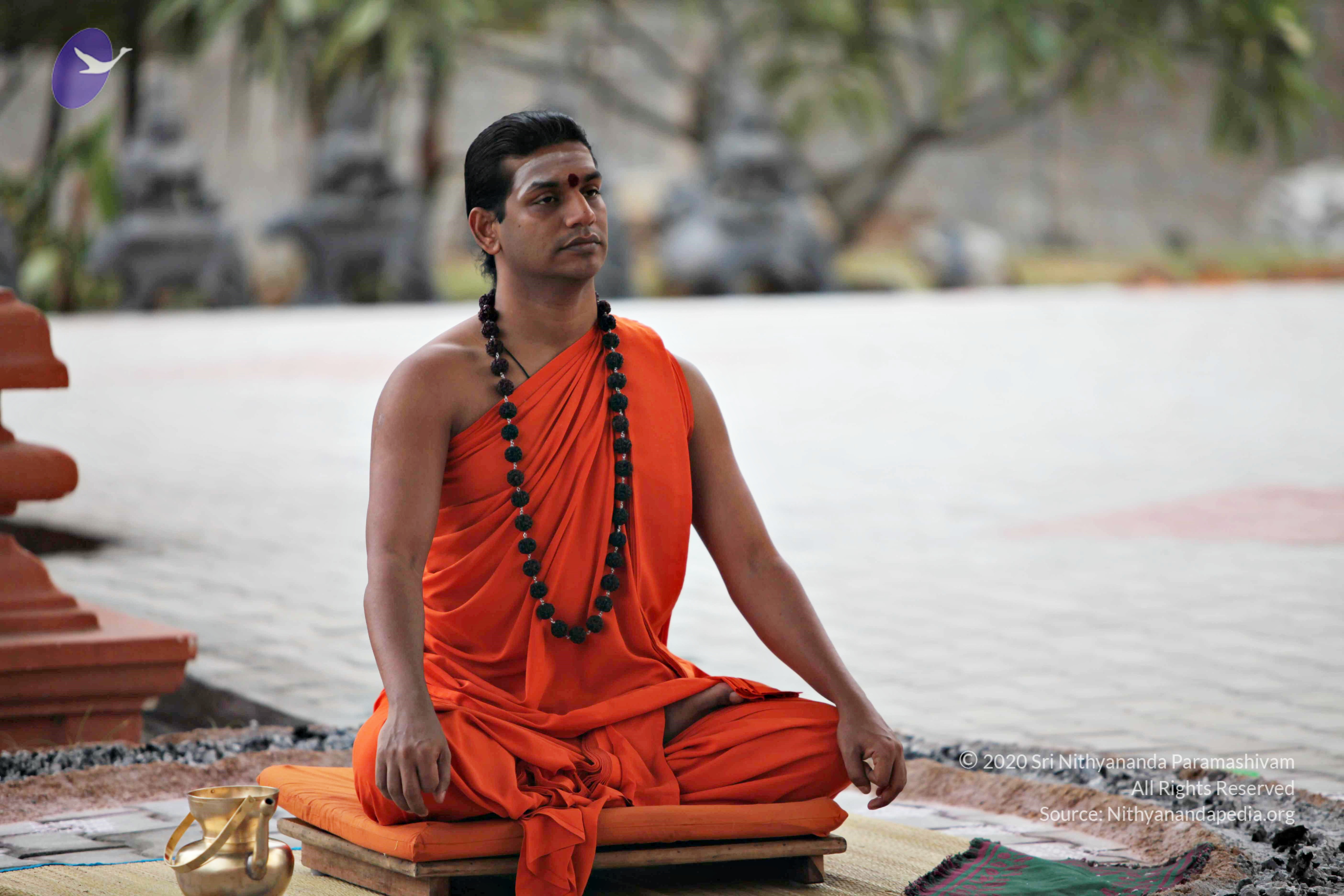 20110225_Photo_1105_IMG_0817_CMP_WM