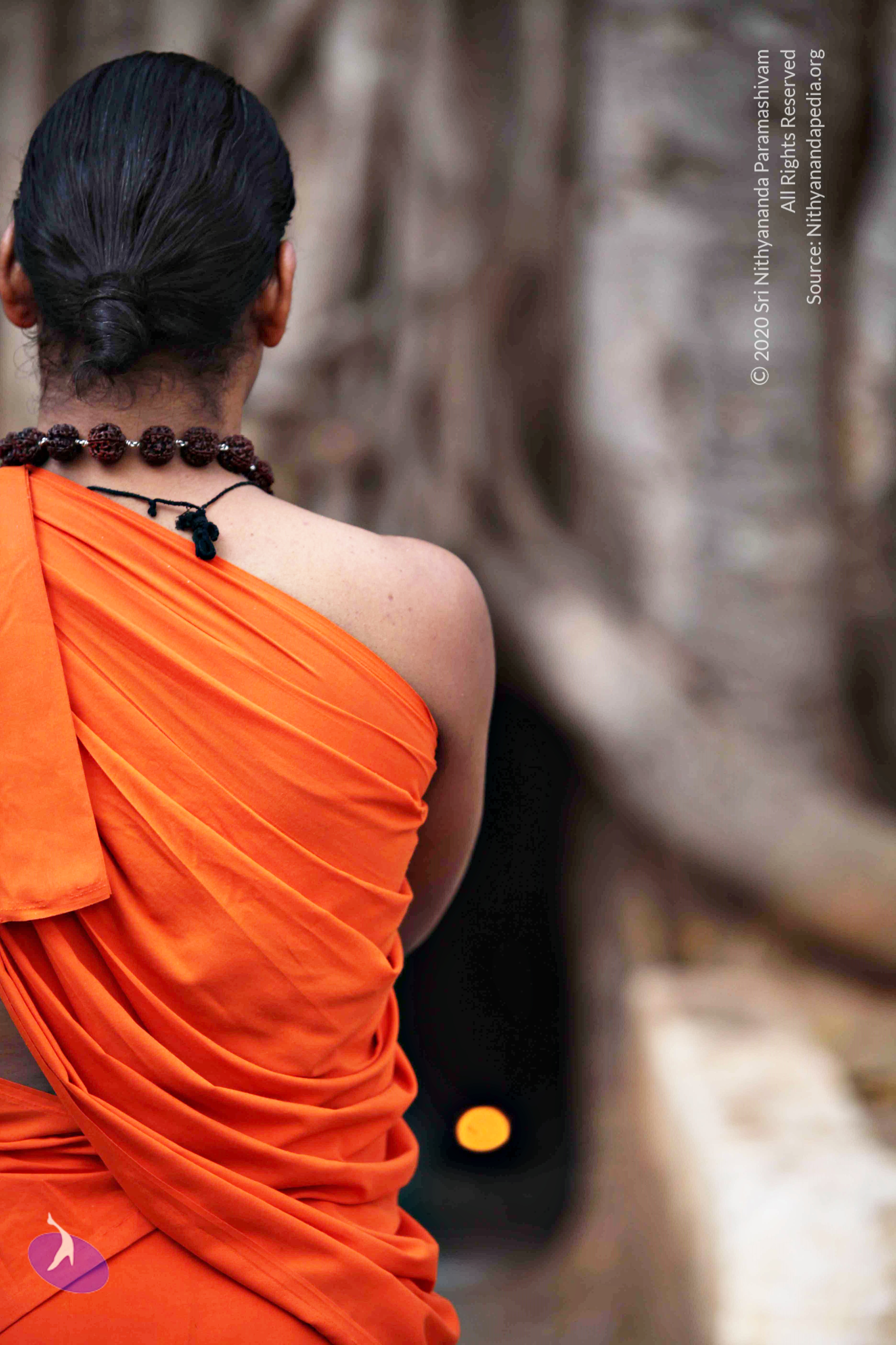 20110225_Photo_1107_IMG_0774_CMP_WM