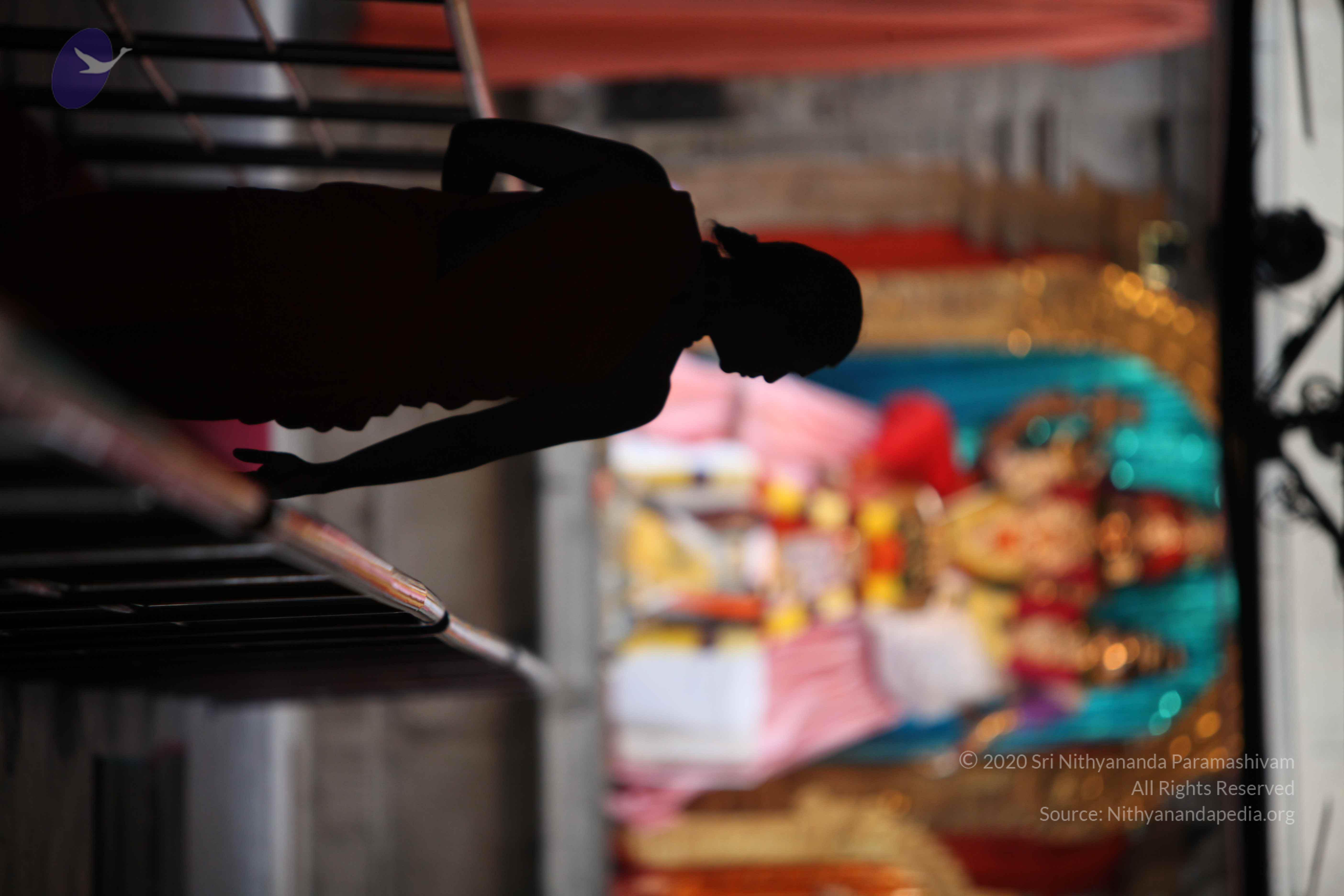 20110225_Photo_1108_IMG_0743_CMP_WM