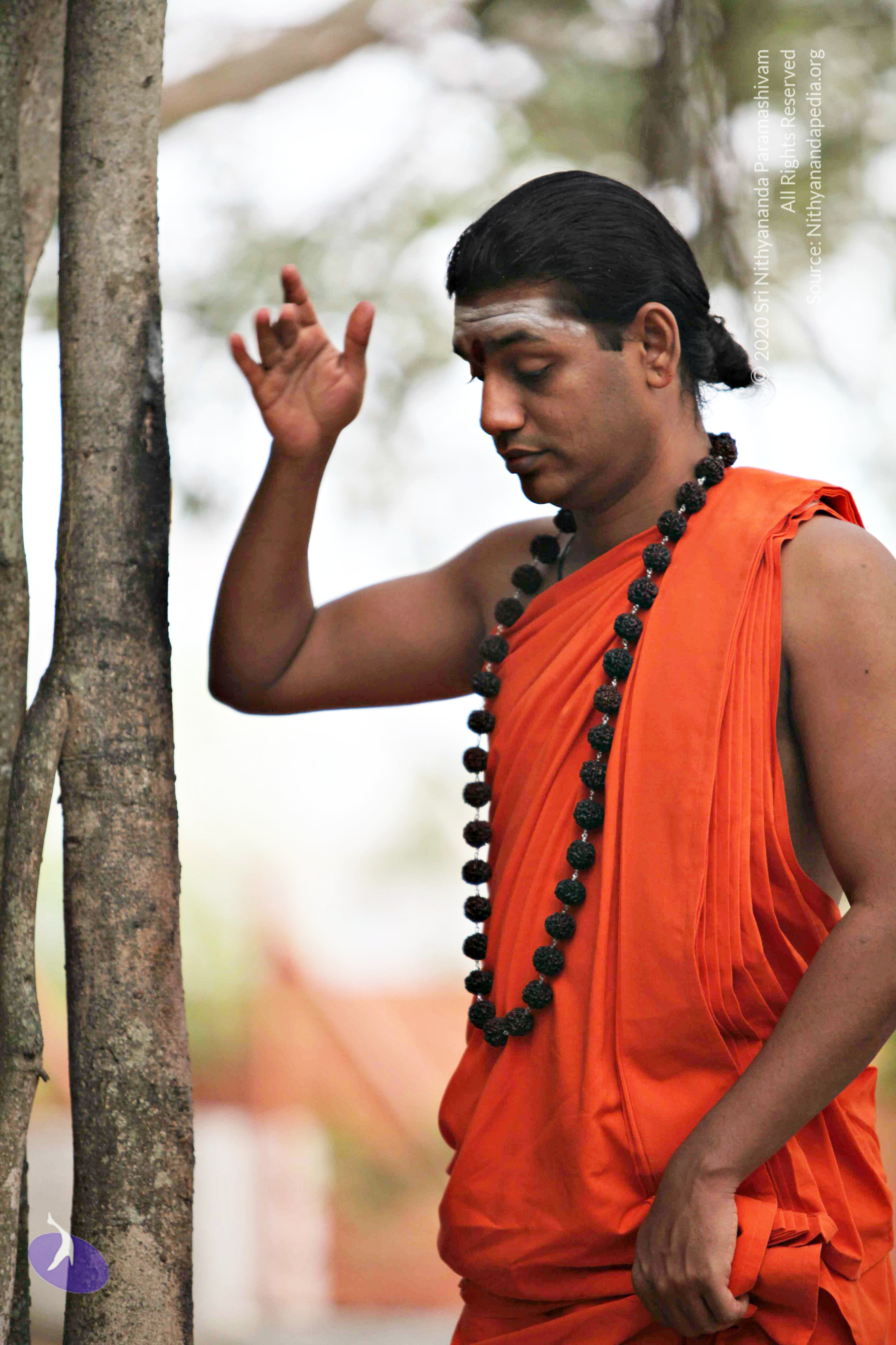 20110225_Photo_1110_IMG_0768_CMP_WM