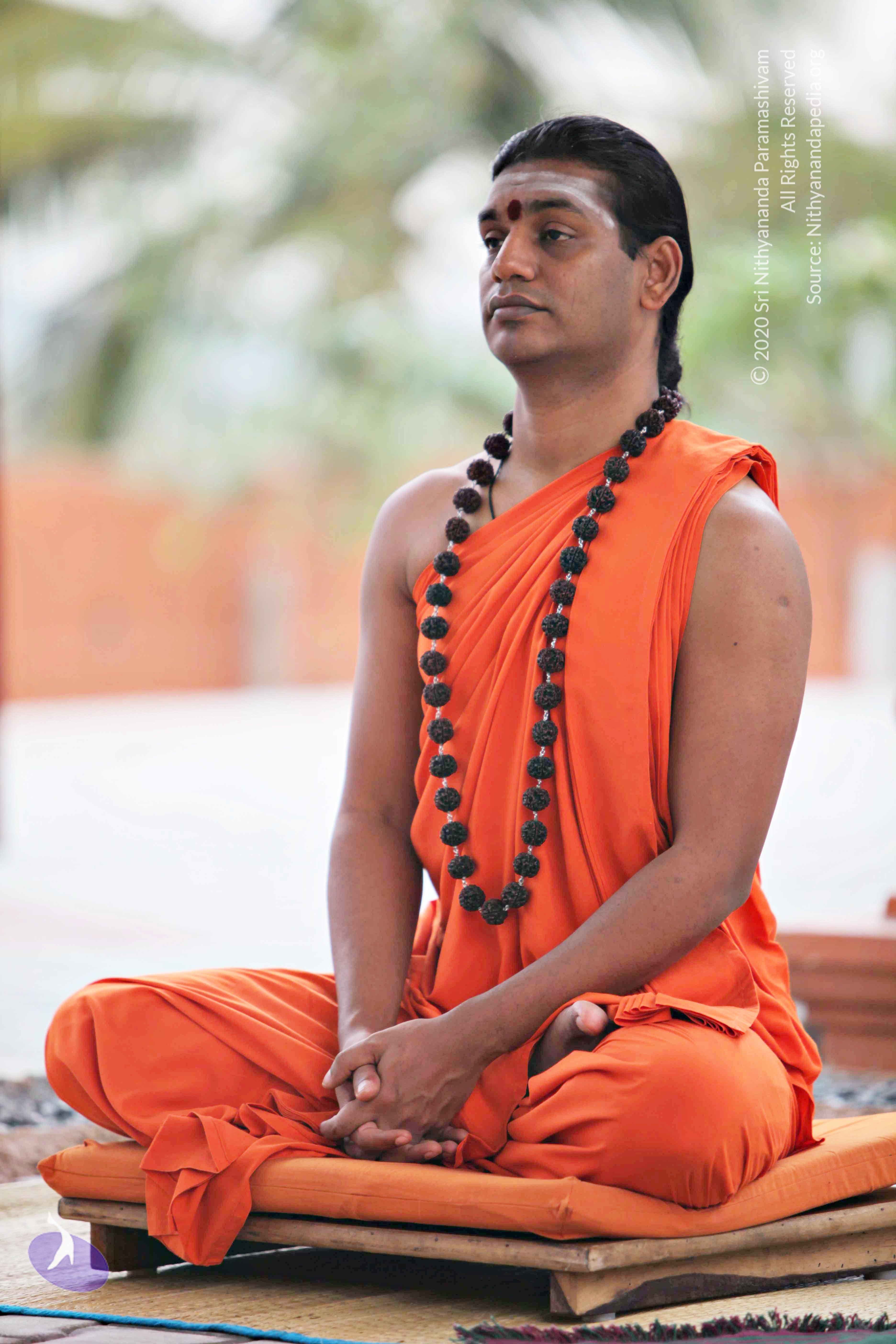 20110225_Photo_1112_IMG_0847_CMP_WM