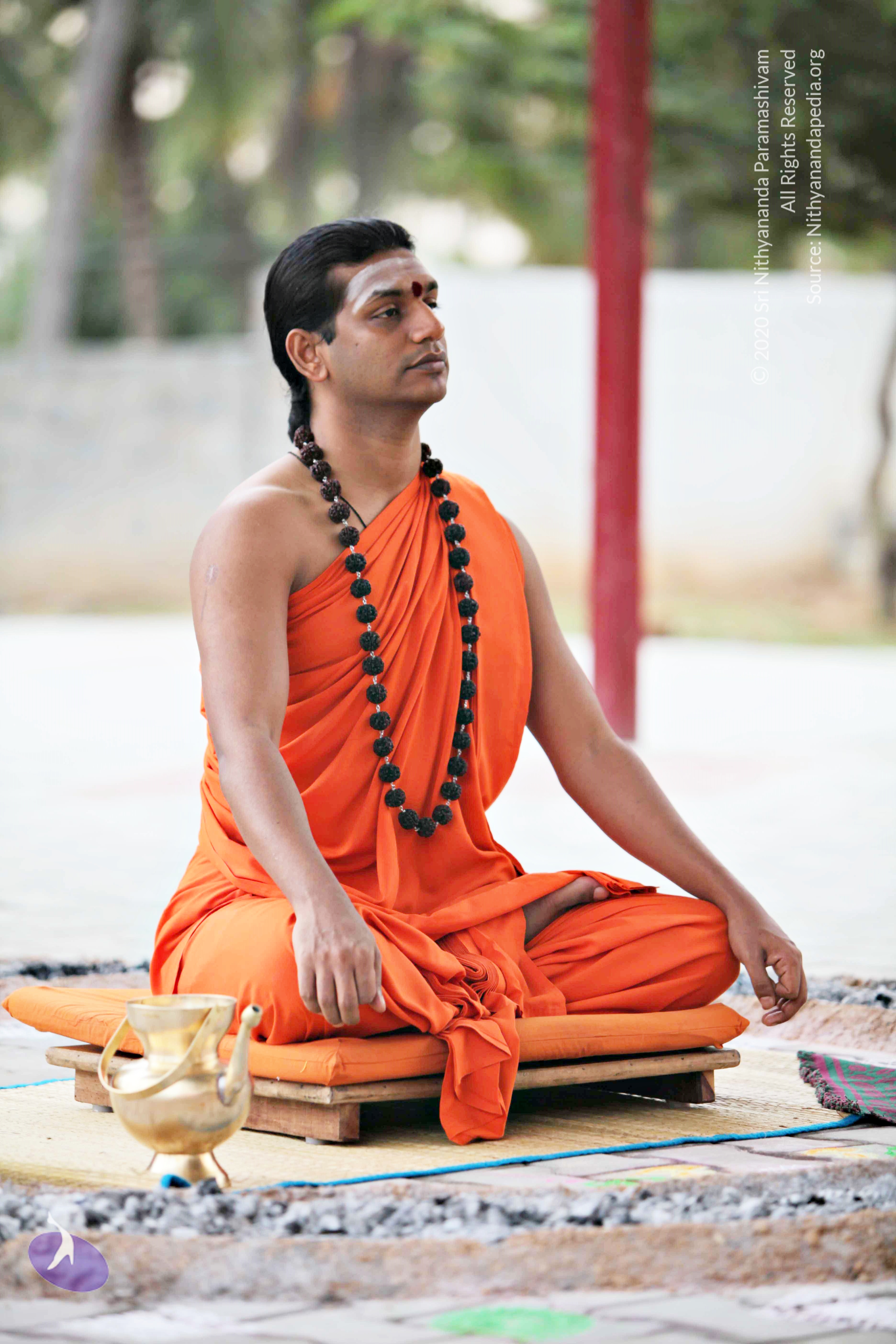 20110225_Photo_1114_IMG_0825_CMP_WM