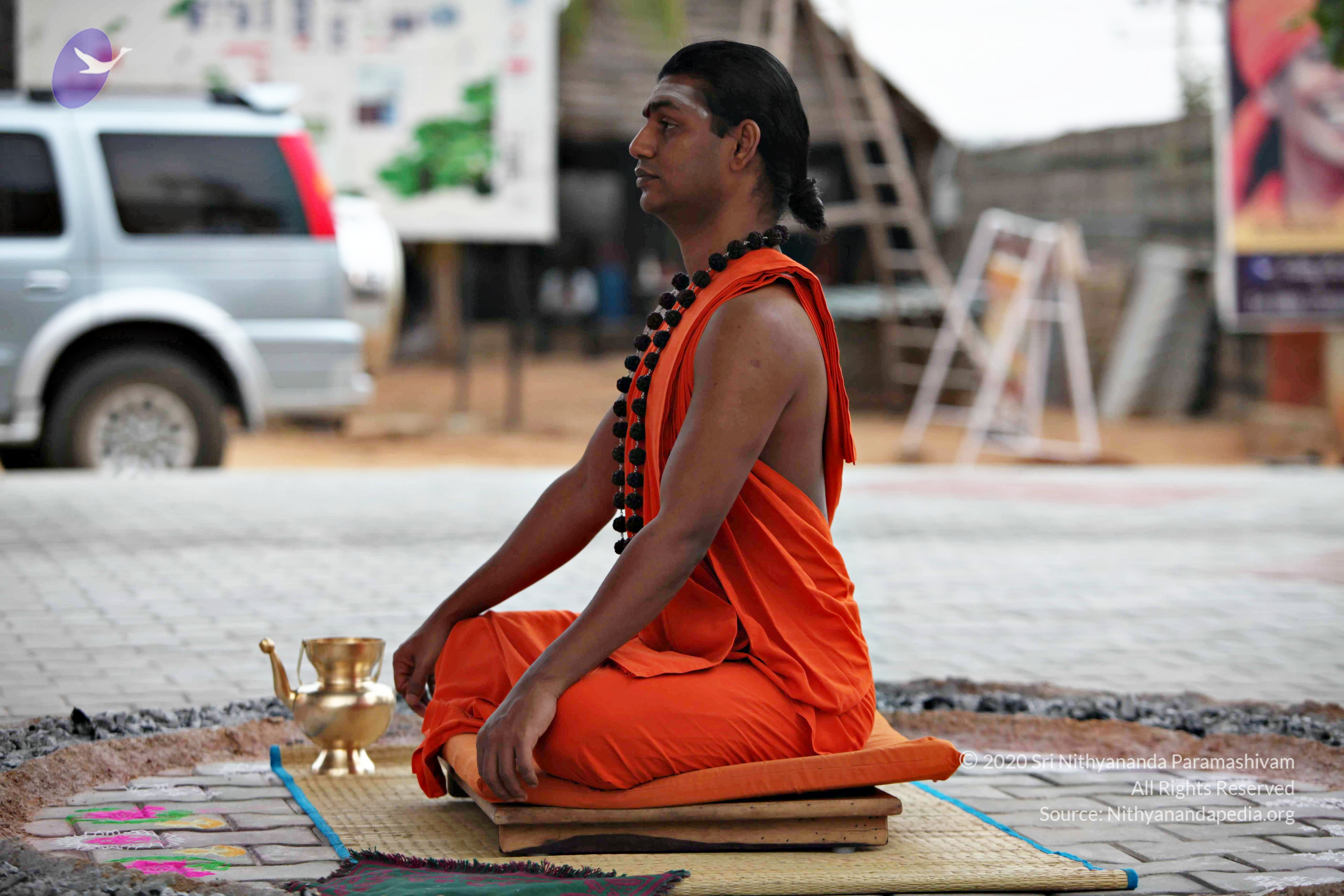 20110225_Photo_1115_IMG_0834_CMP_WM