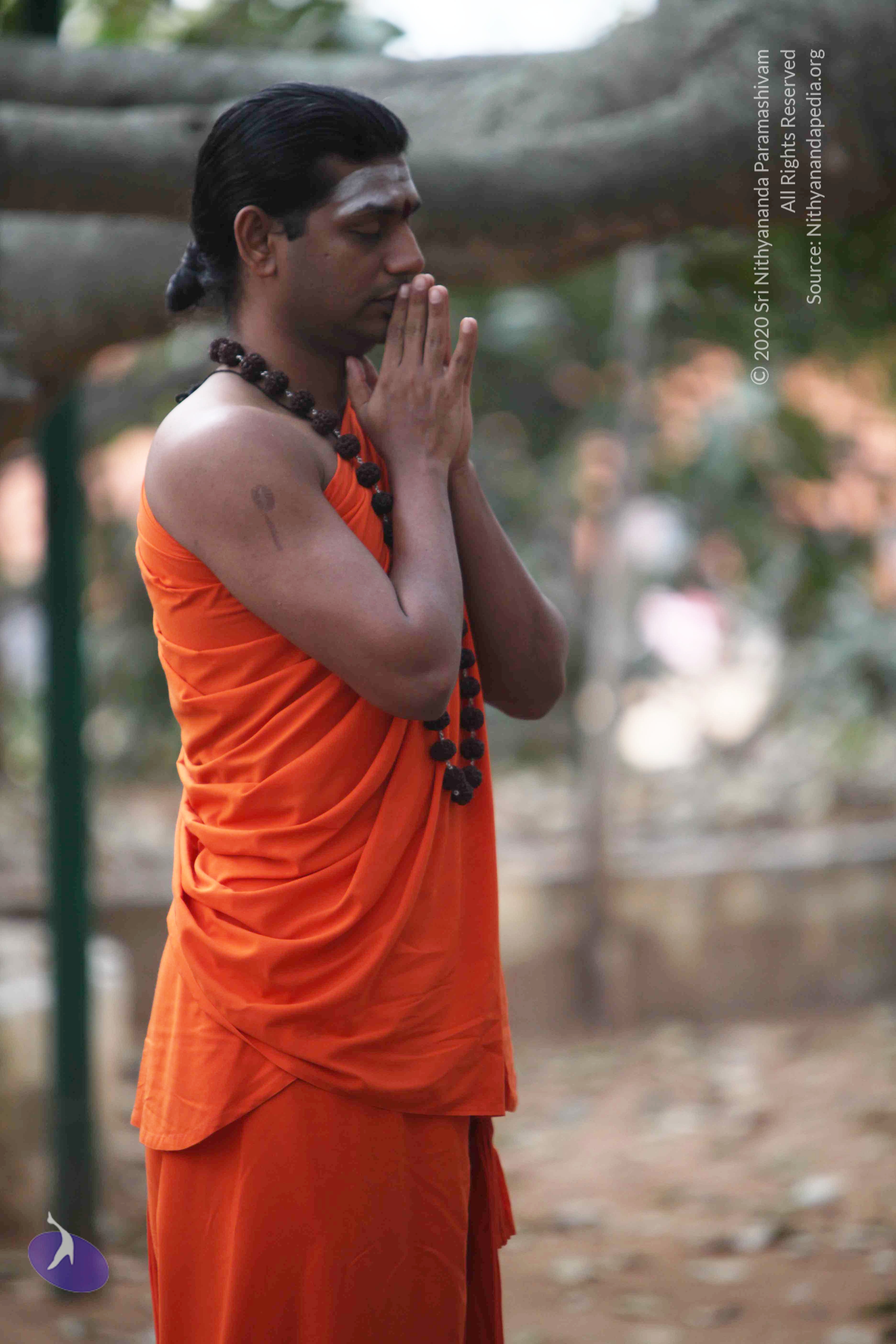 20110225_Photo_1117_IMG_0786_CMP_WM