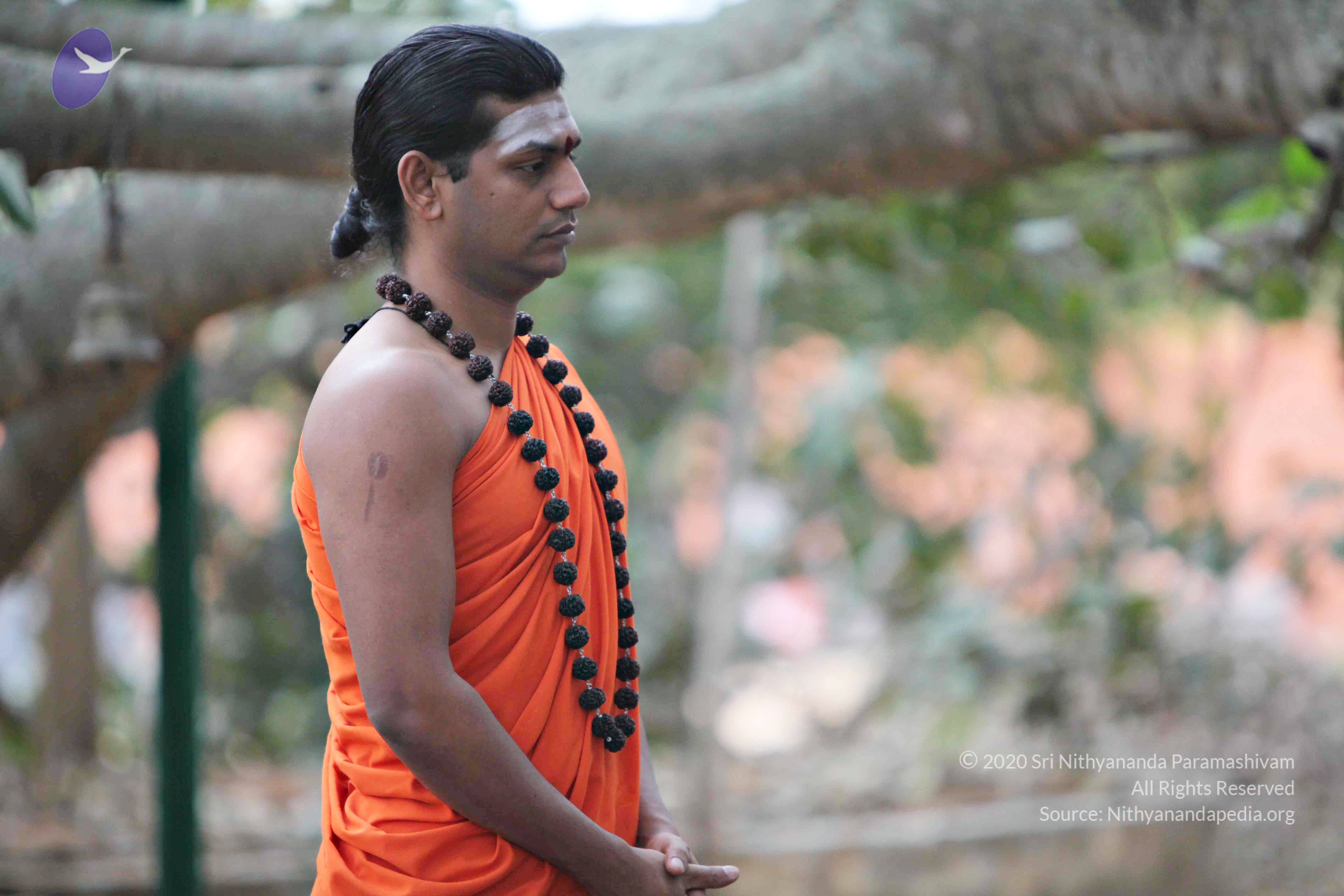 20110225_Photo_1118_IMG_0779_CMP_WM