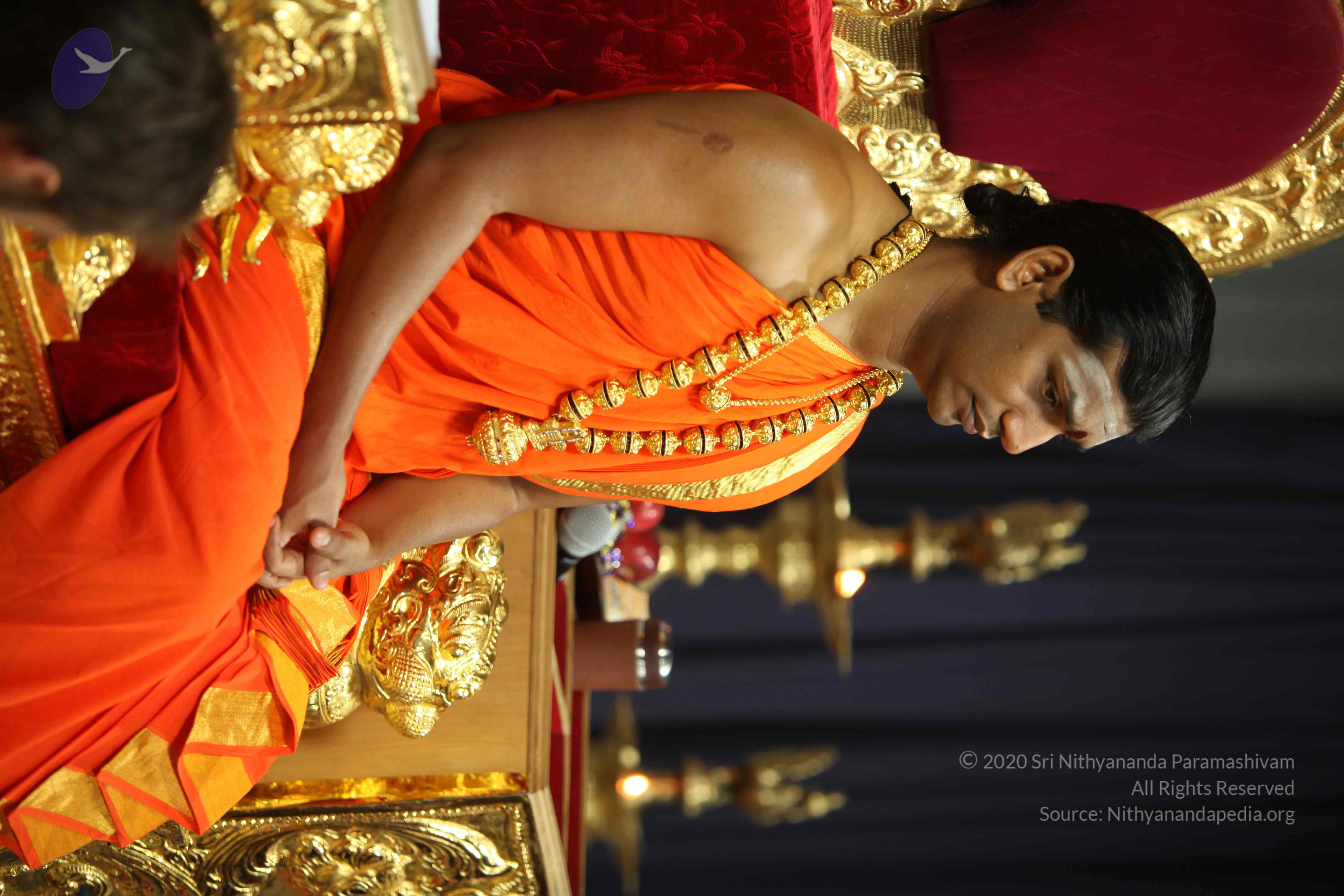 20110225_Photo_1003_IMG_0932_CMP_WM