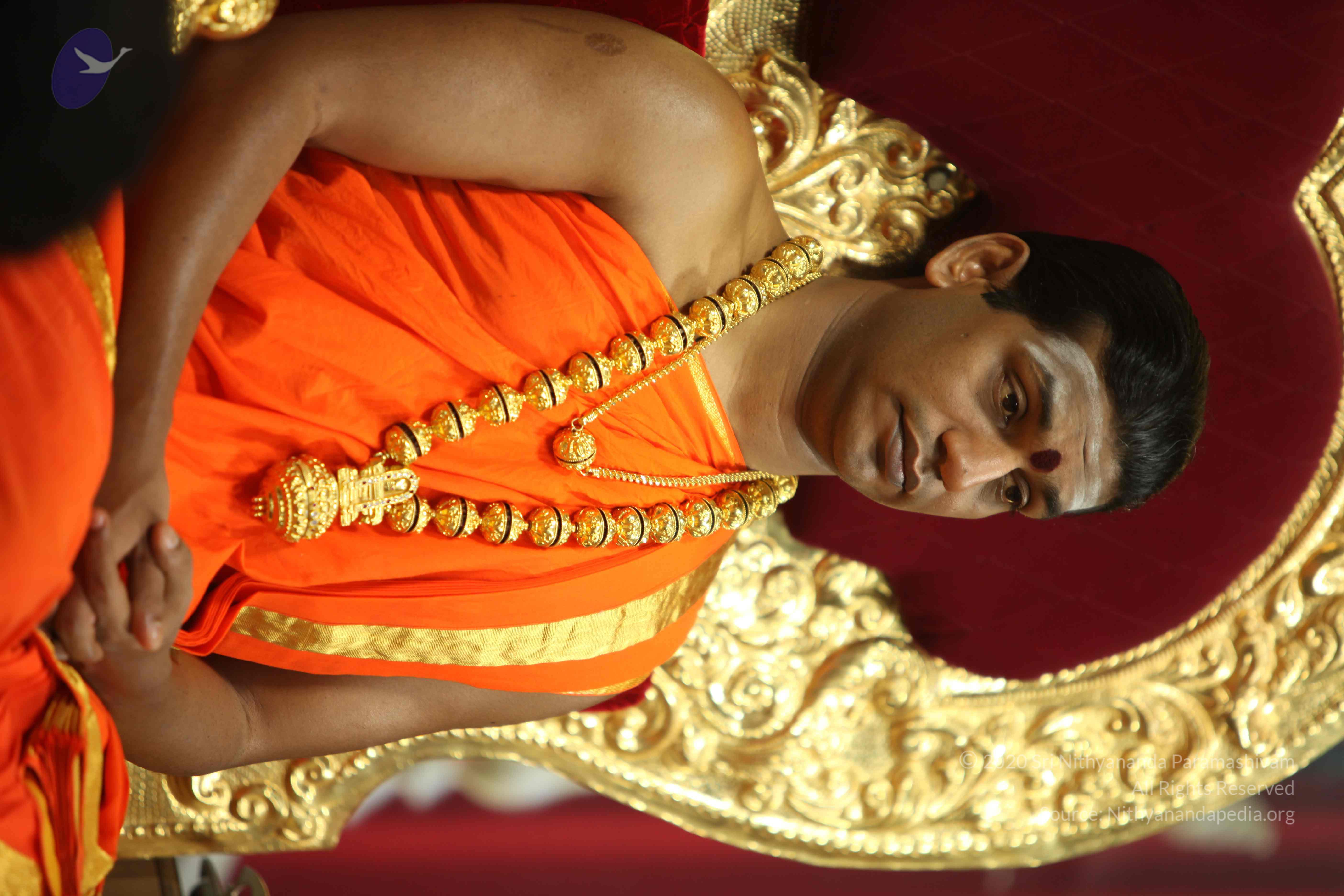 20110225_Photo_1004_IMG_0905_CMP_WM