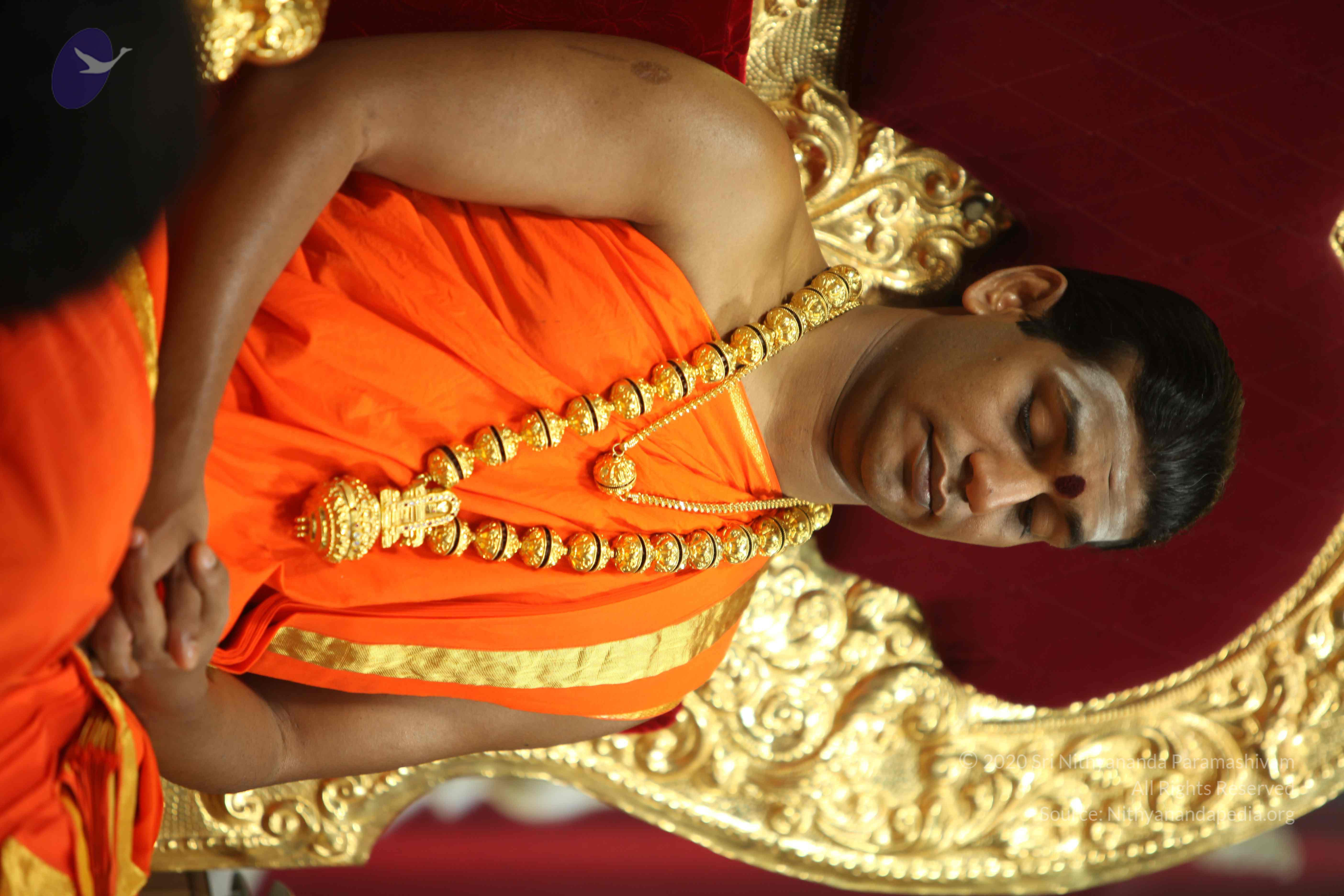 20110225_Photo_1021_IMG_0908_CMP_WM