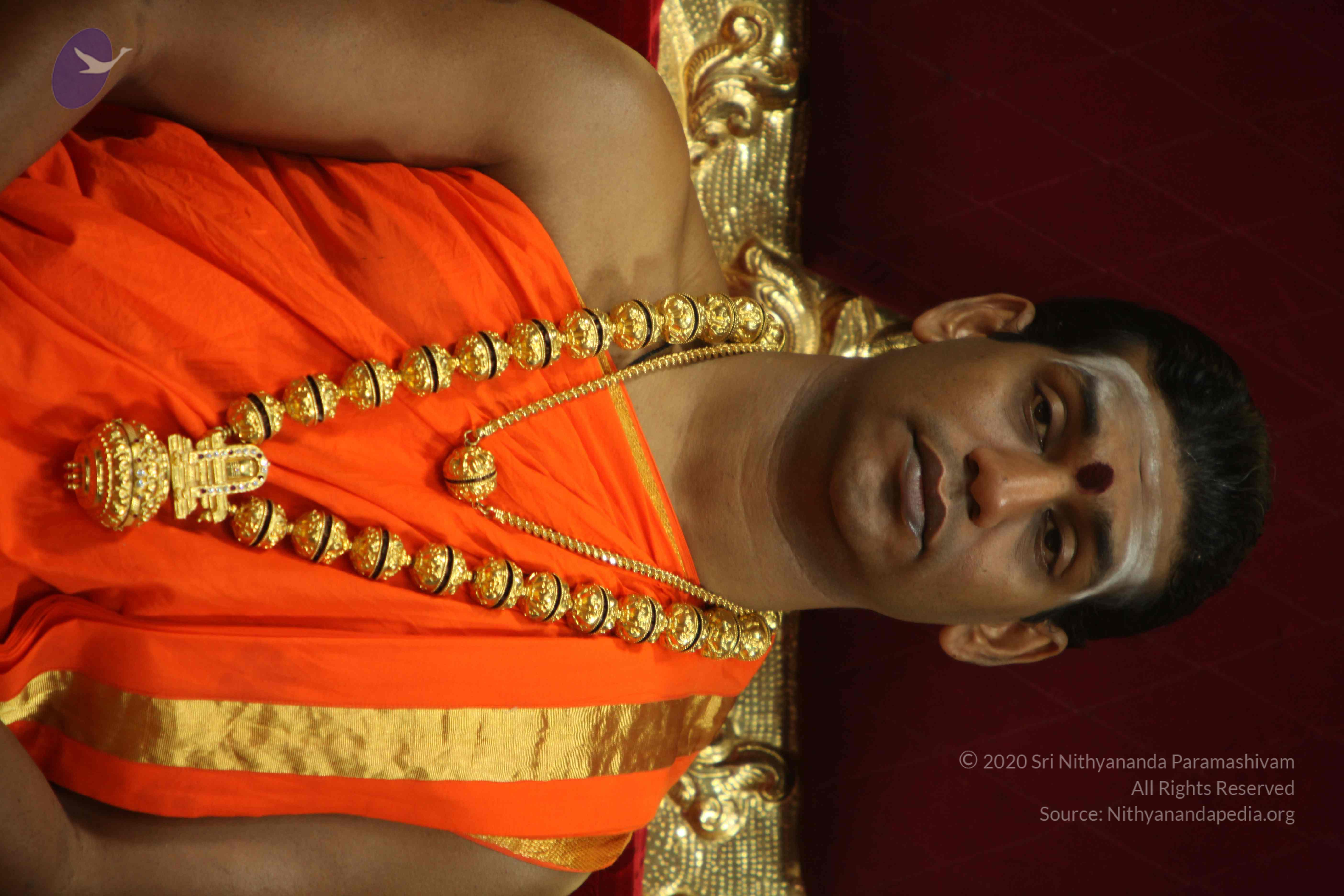 20110225_Photo_1022_IMG_0989_CMP_WM