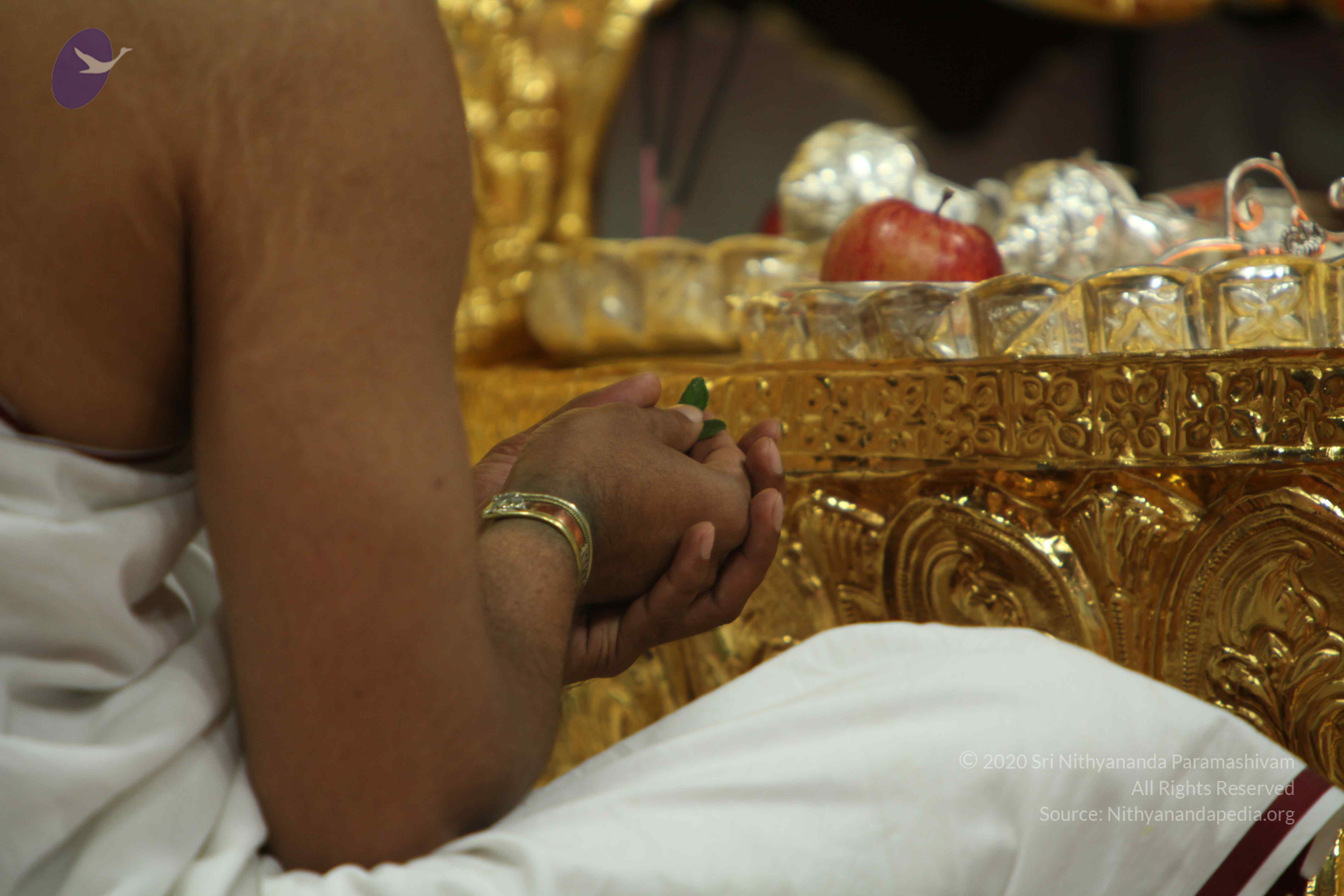 20110225_Photo_1034_IMG_1002_CMP_WM