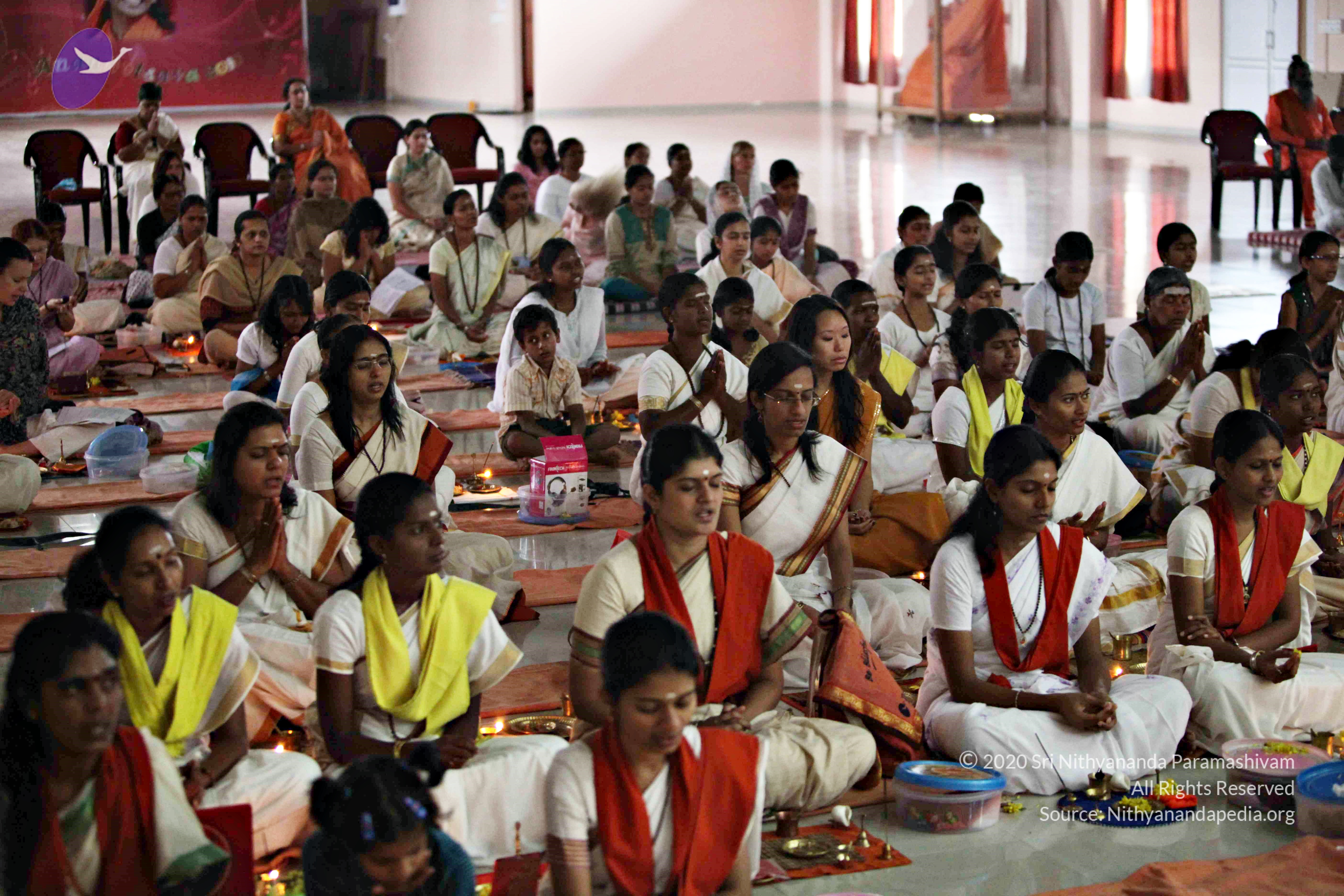 20110225_Photo_1037_IMG_0944_CMP_WM