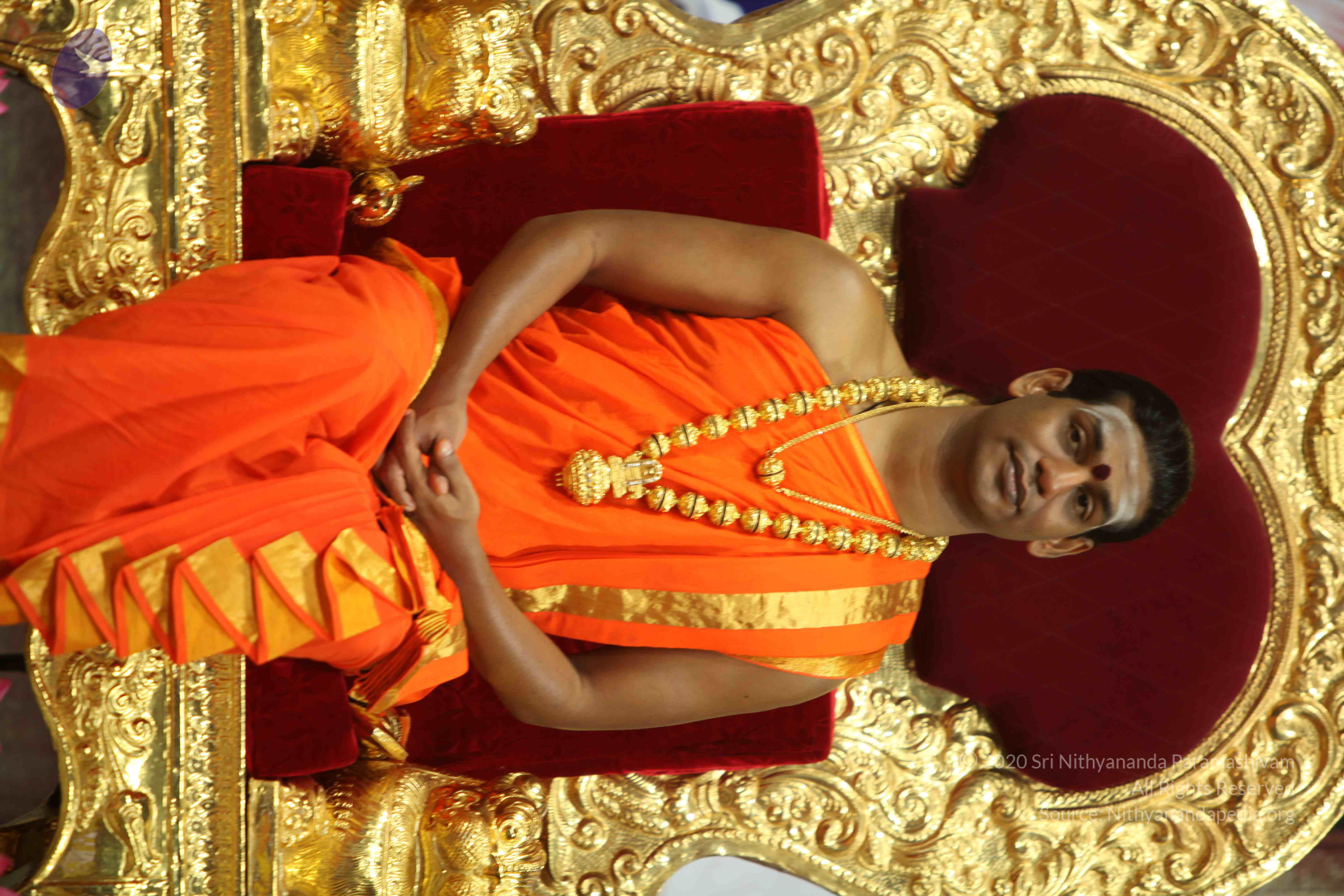 20110225_Photo_1039_IMG_0867_CMP_WM