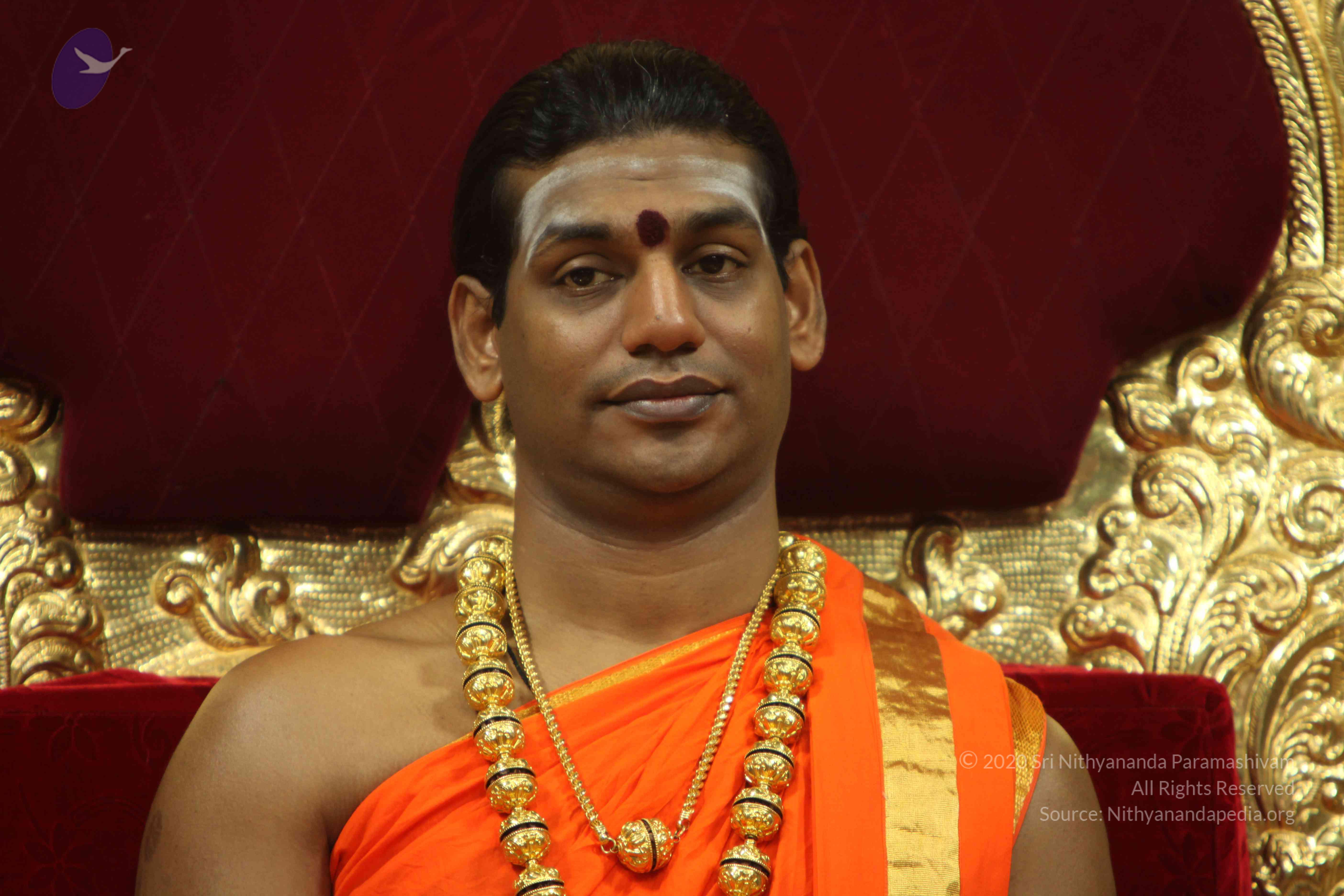 20110225_Photo_1062_IMG_1008_CMP_WM