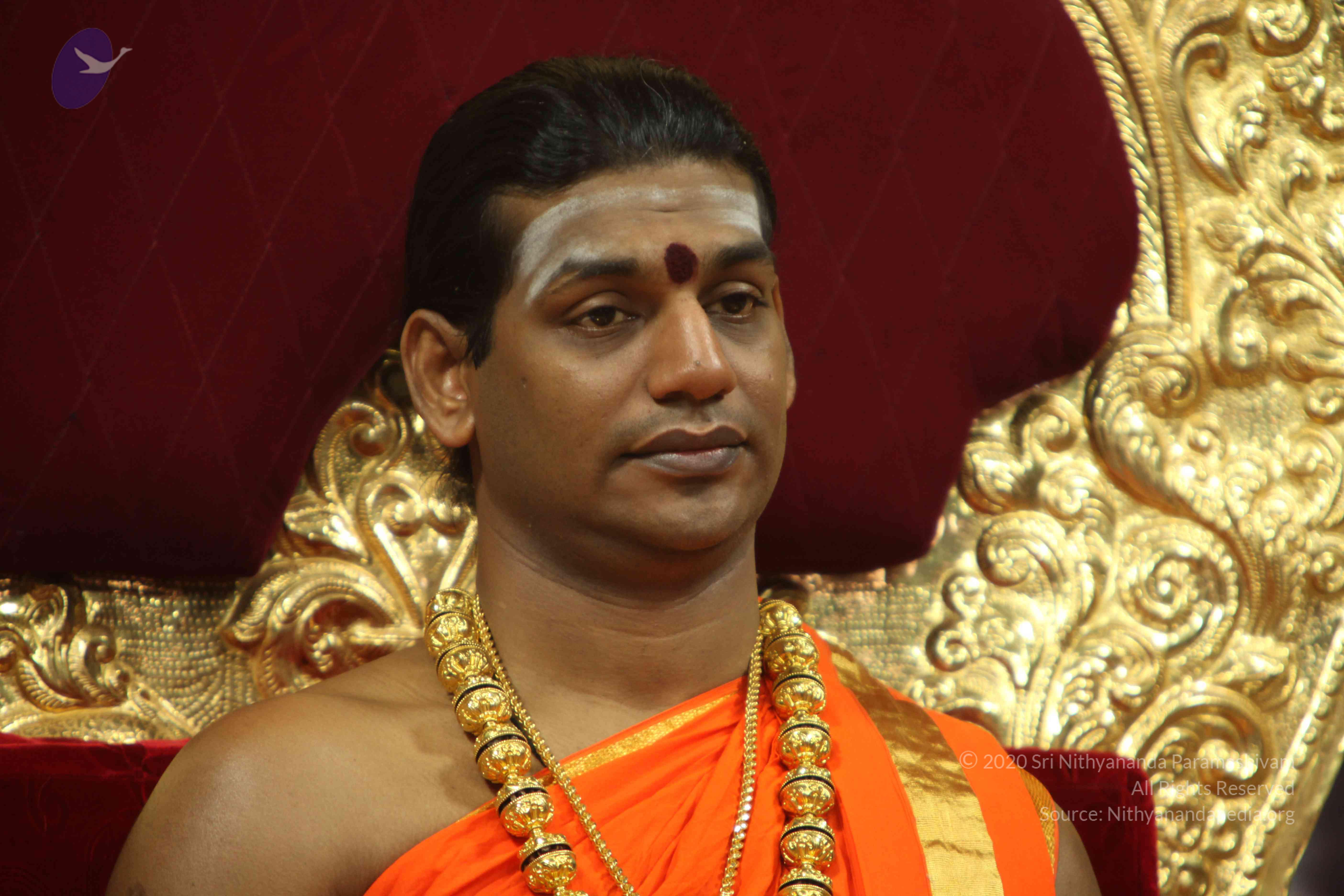 20110225_Photo_1063_IMG_1019_CMP_WM