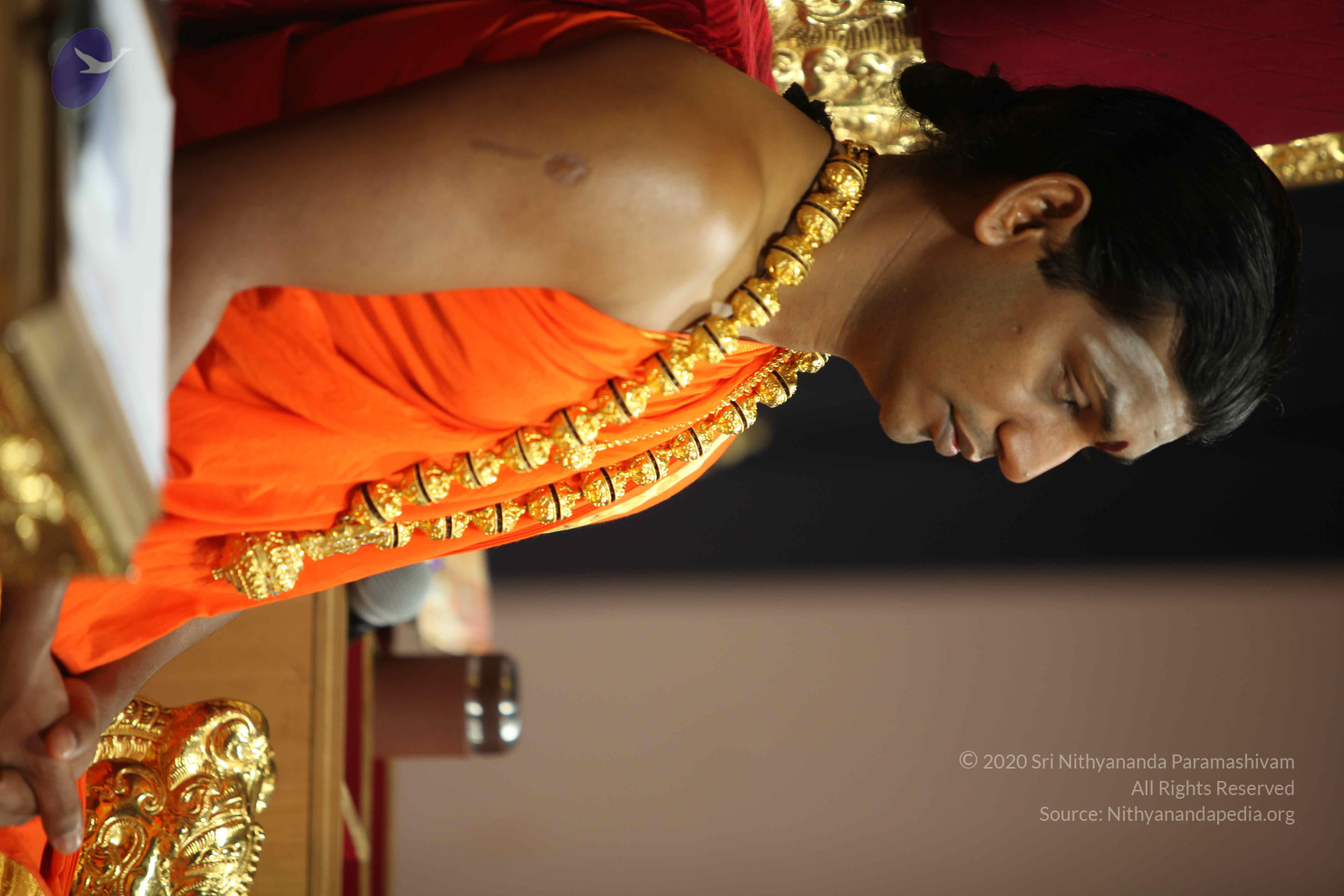 20110225_Photo_1065_IMG_0916_CMP_WM