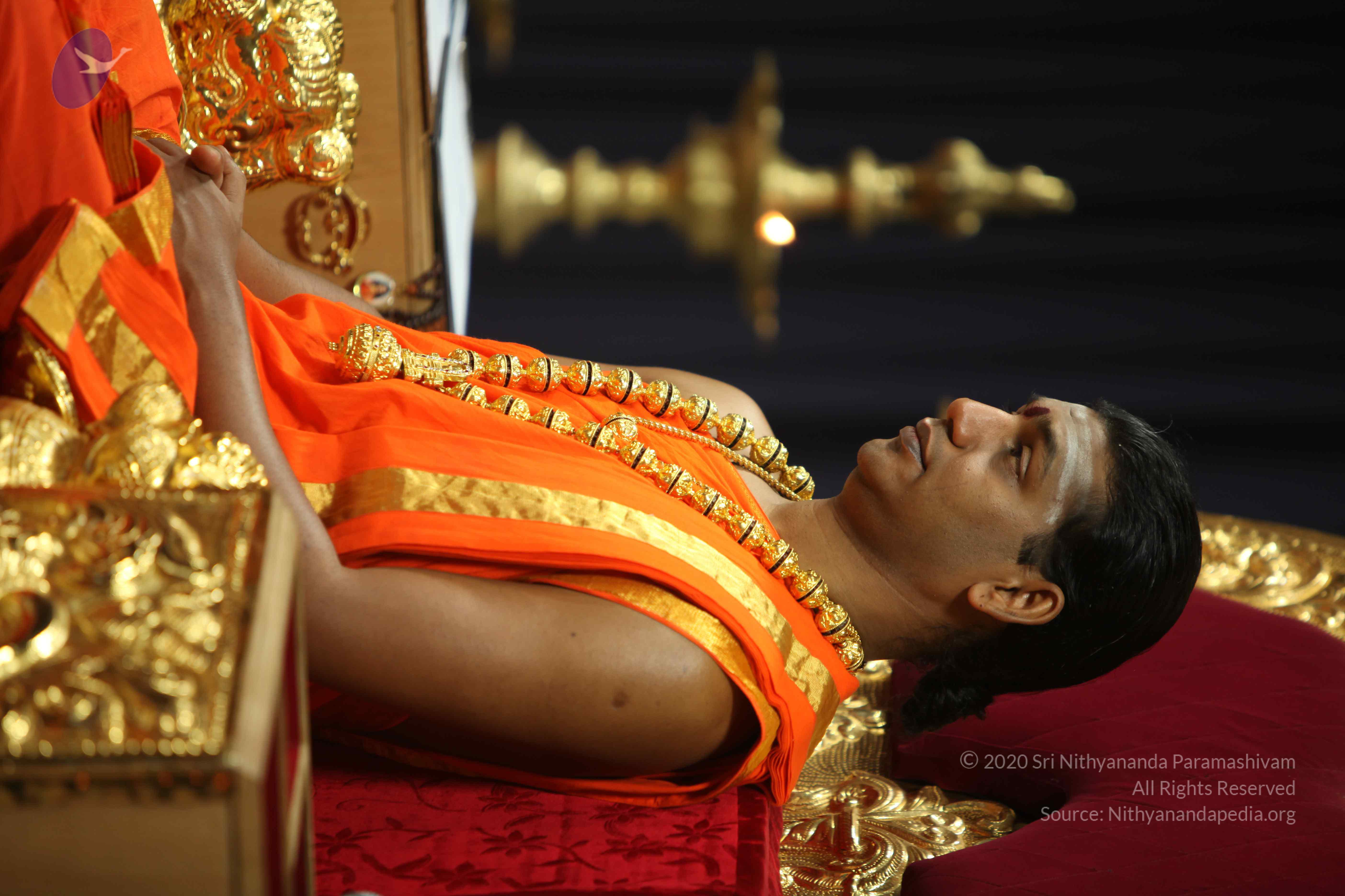 20110225_Photo_1076_IMG_0968_CMP_WM