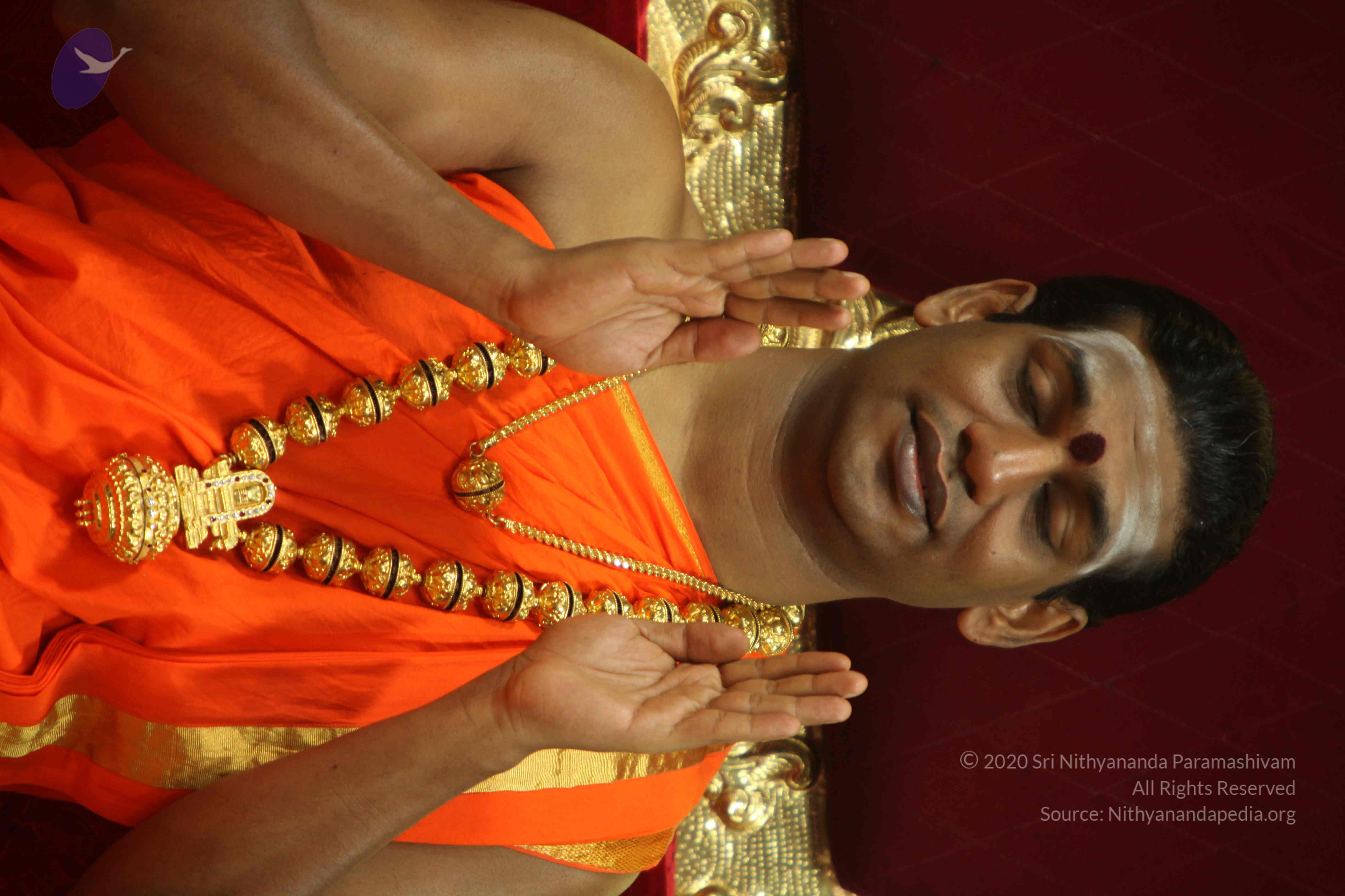 20110225_Photo_1083_IMG_1062_CMP_WM