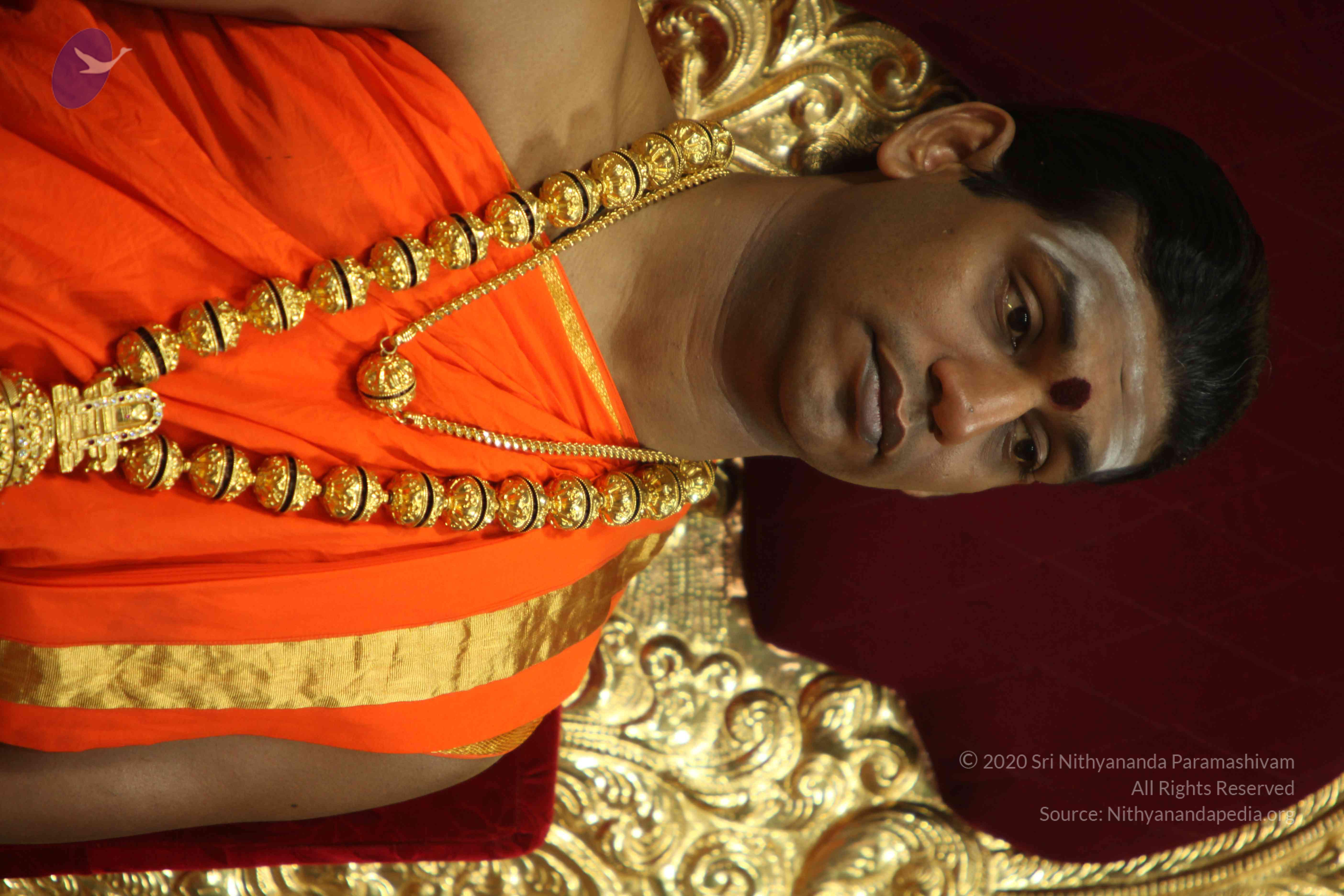 20110225_Photo_1084_IMG_0992_CMP_WM