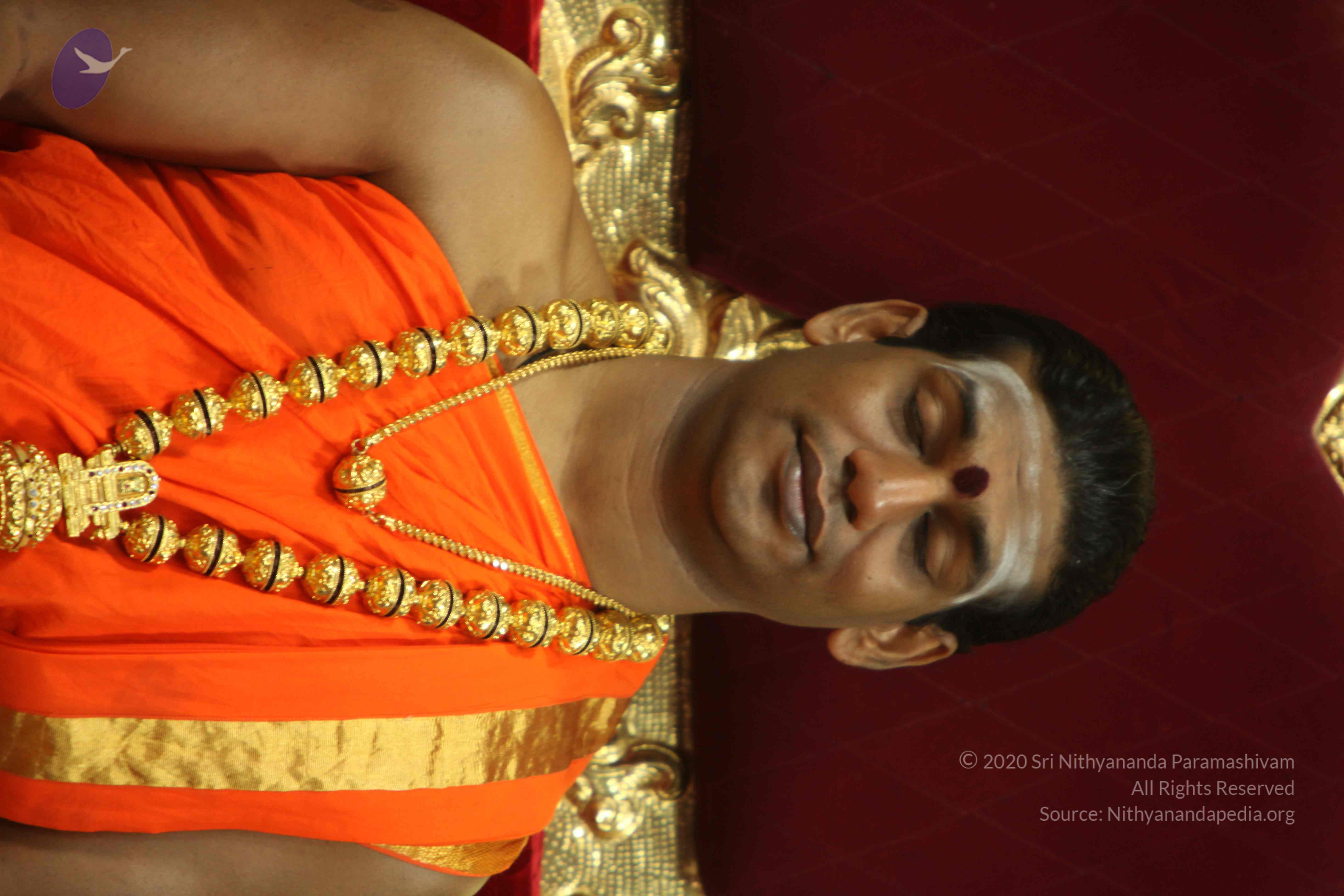 20110225_Photo_1087_IMG_1037_CMP_WM