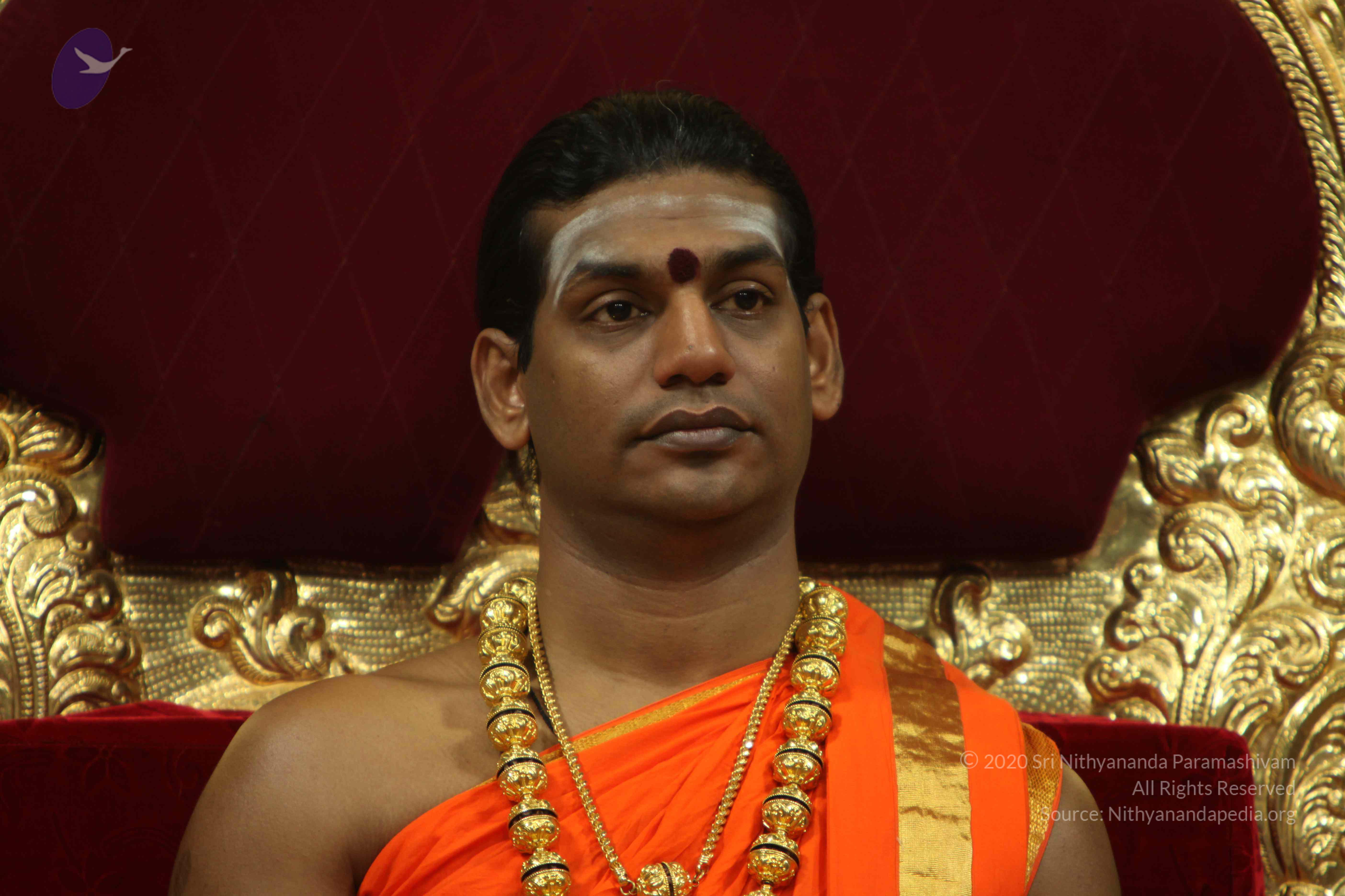 20110225_Photo_1092_IMG_0983_CMP_WM