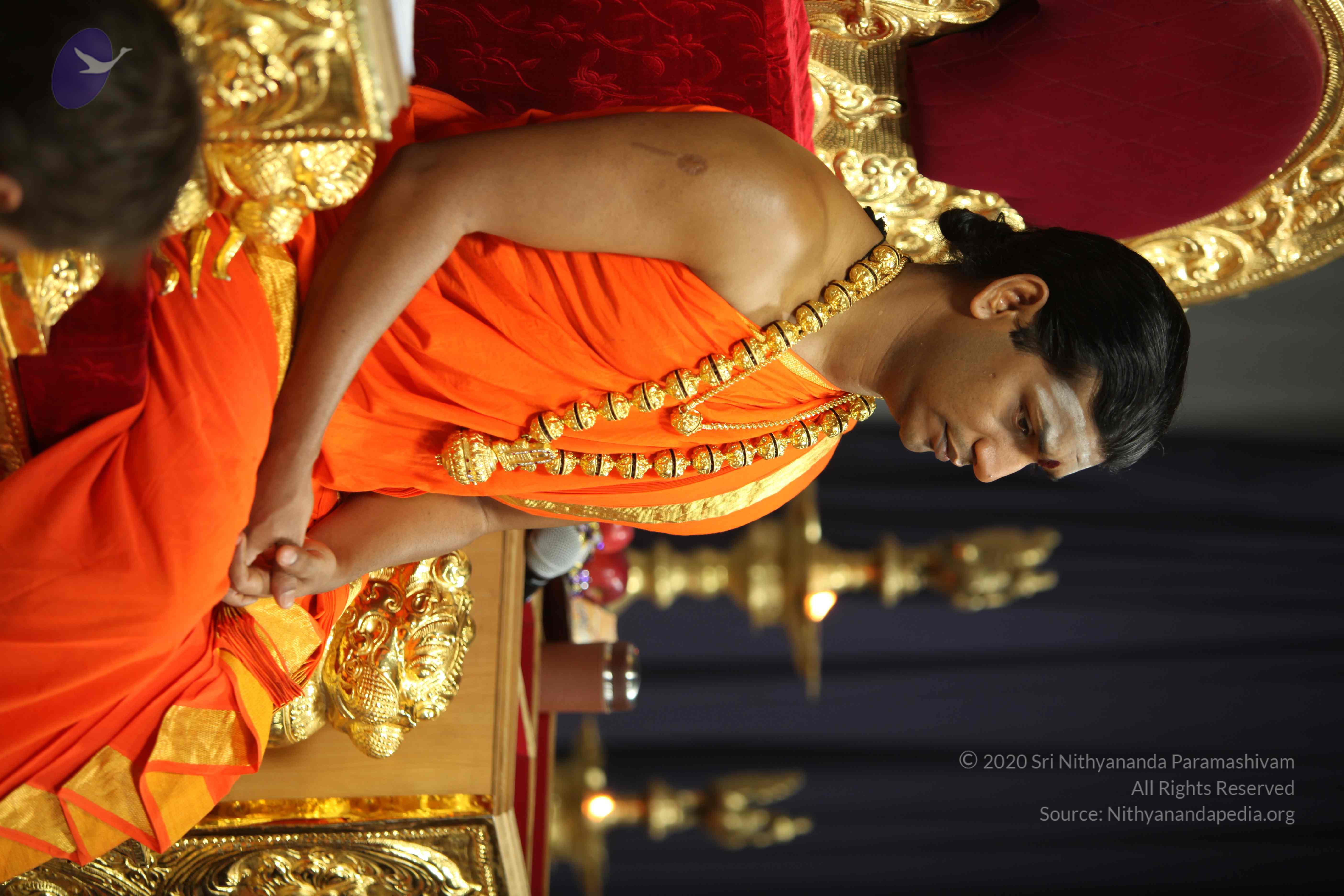 20110225_Photo_1094_IMG_0929_CMP_WM