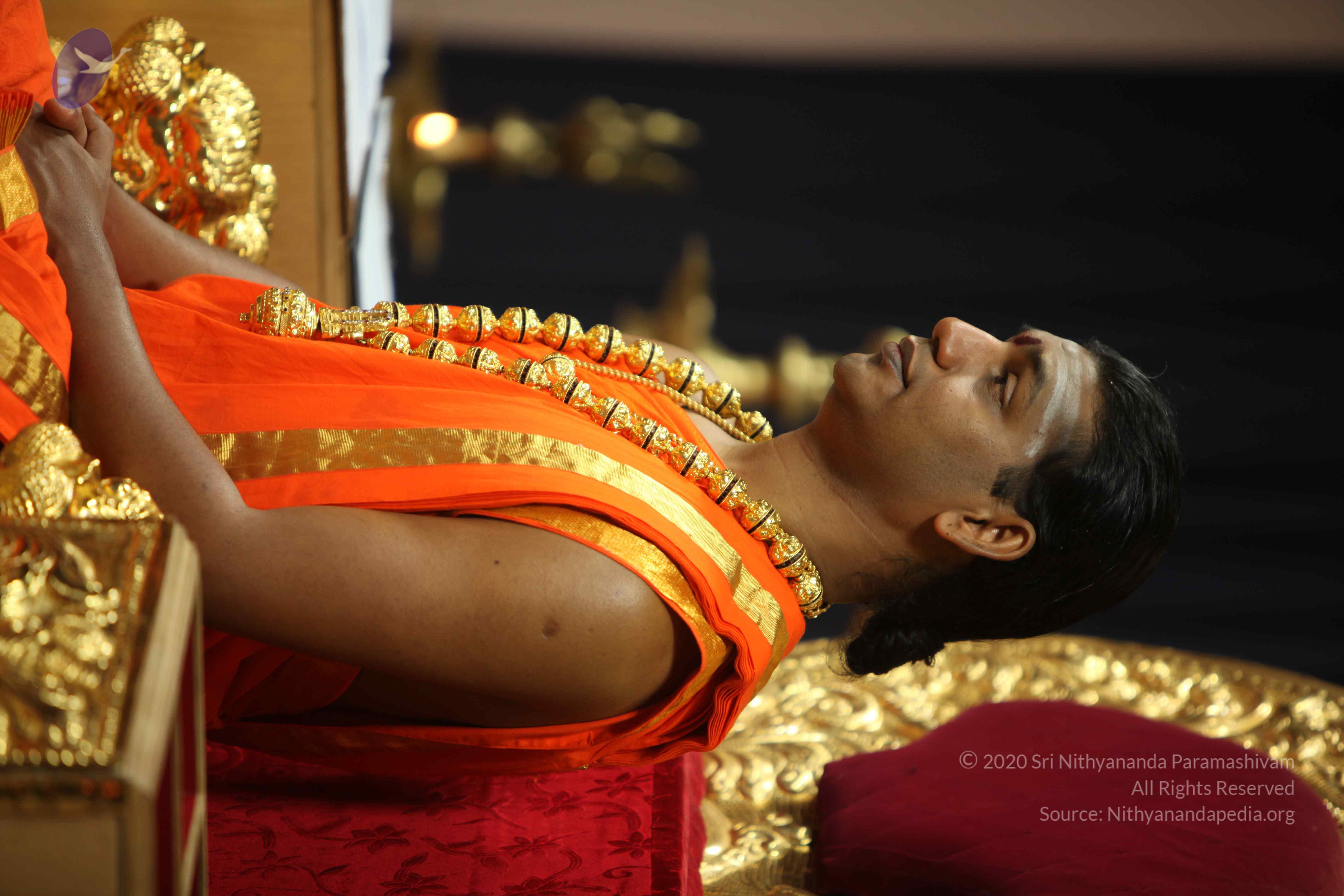 20110225_Photo_1098_IMG_0960_CMP_WM