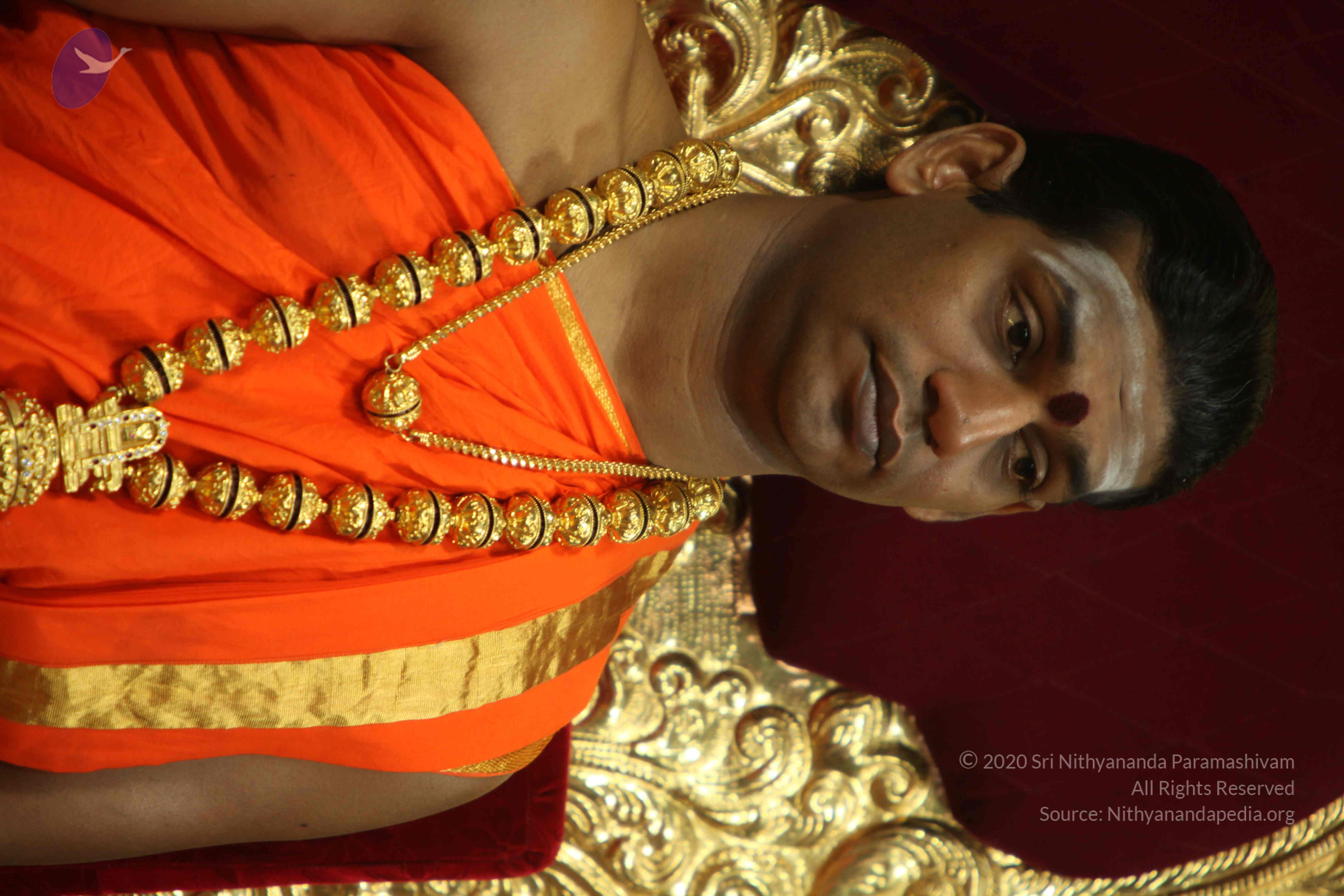 20110225_Photo_1103_IMG_0991_CMP_WM