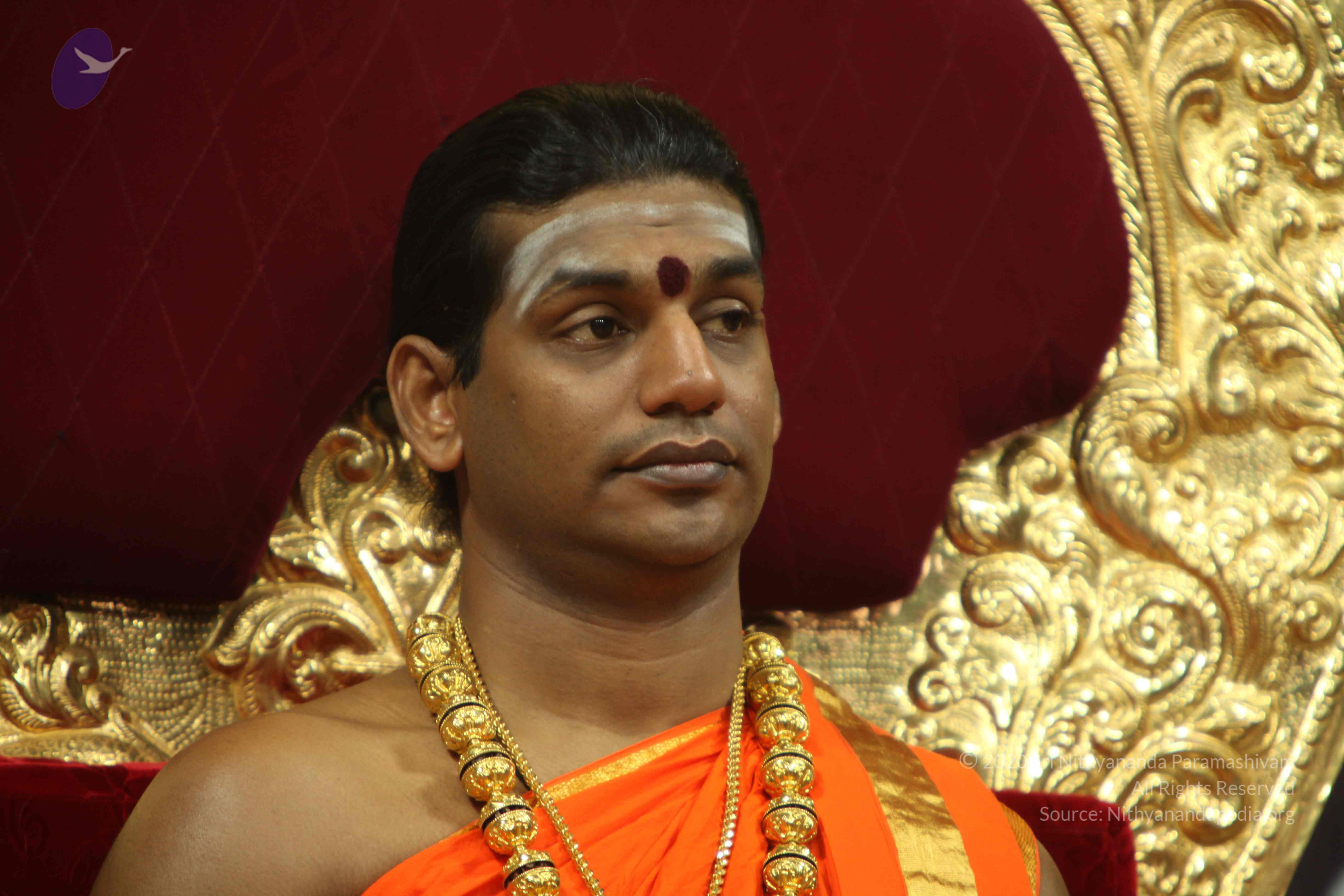 20110225_Photo_1106_IMG_1003_CMP_WM