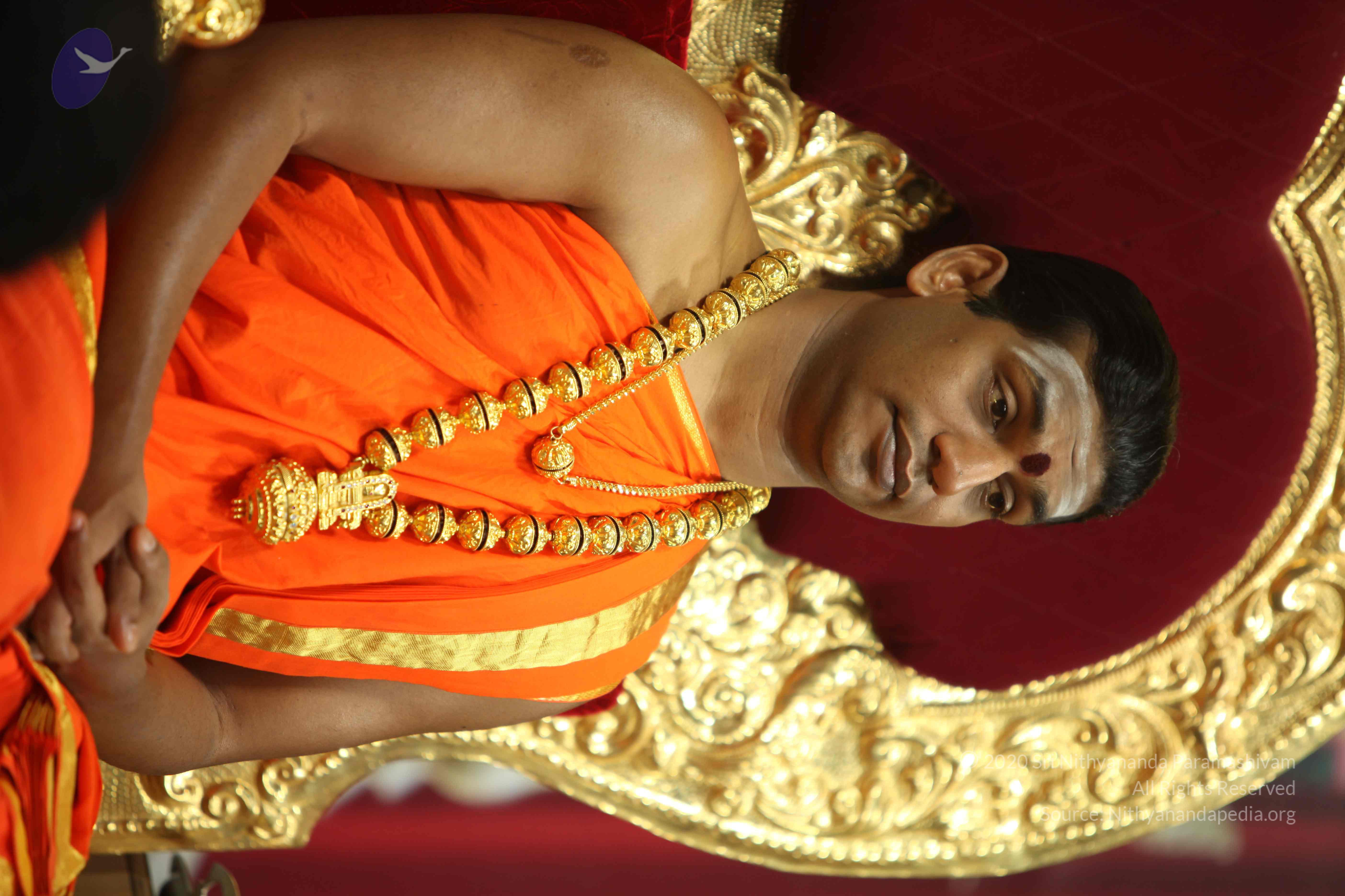 20110225_Photo_1111_IMG_0910_CMP_WM