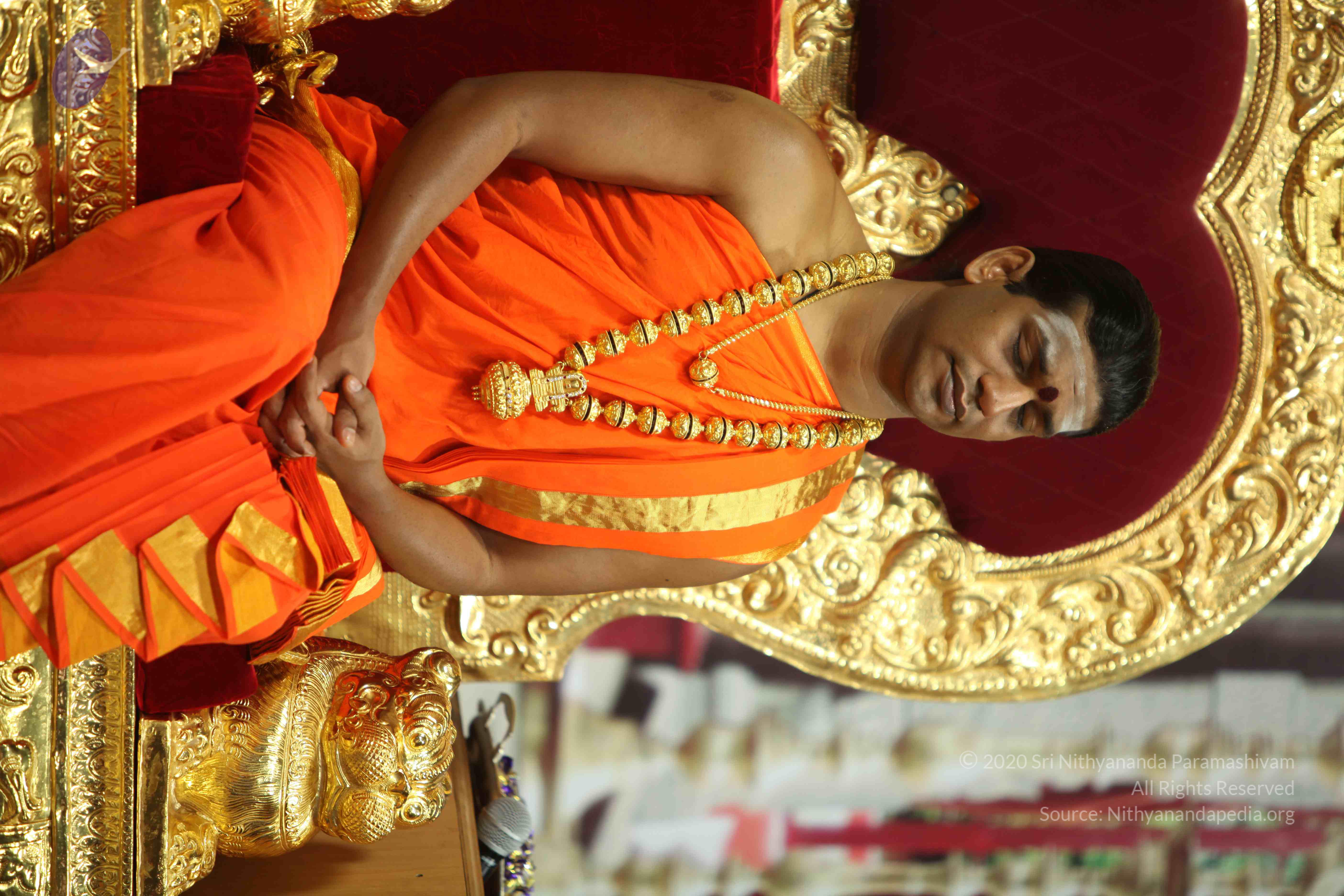 20110225_Photo_1119_IMG_0936_CMP_WM