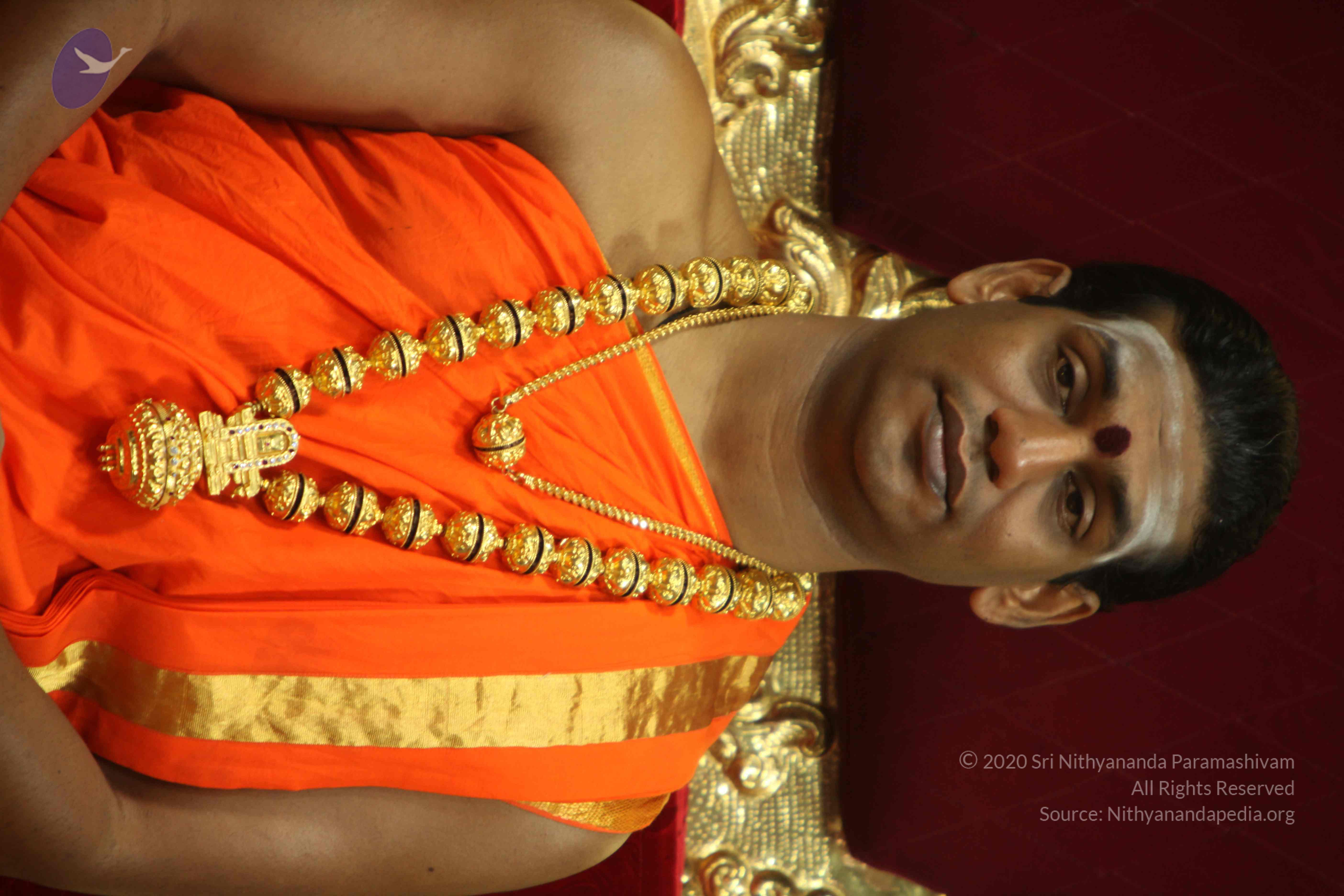 20110225_Photo_1120_IMG_1039_CMP_WM